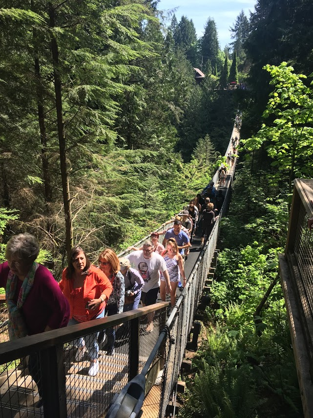 A group of people are walking across a bridge in the woods.
