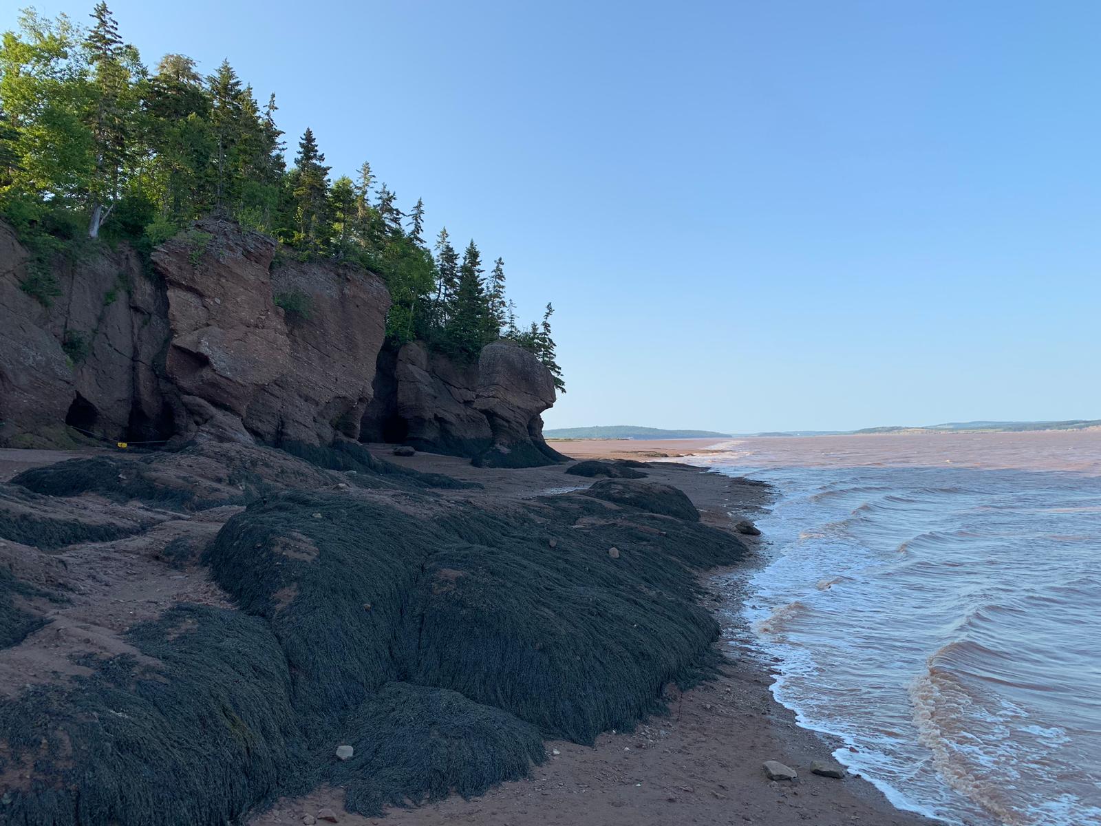 A cliff overlooking a body of water with trees on it