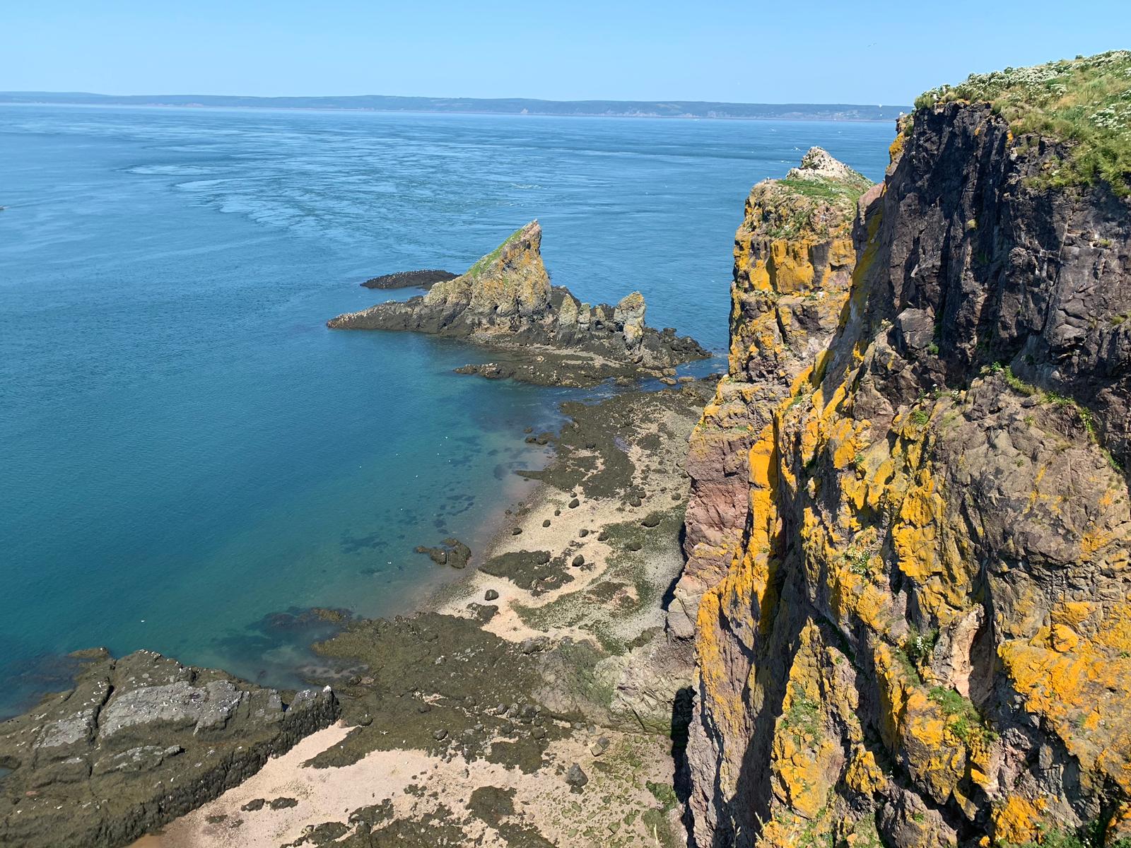 A cliff overlooking the ocean with a yellow lichen covered cliff.