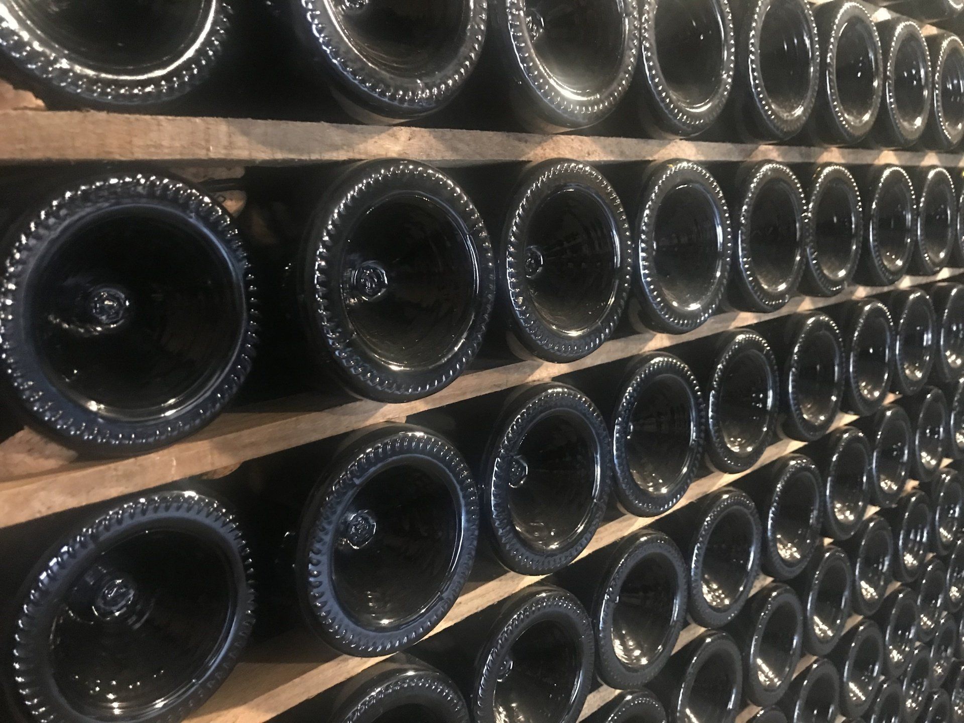 Rows of empty wine bottles are lined up on shelves