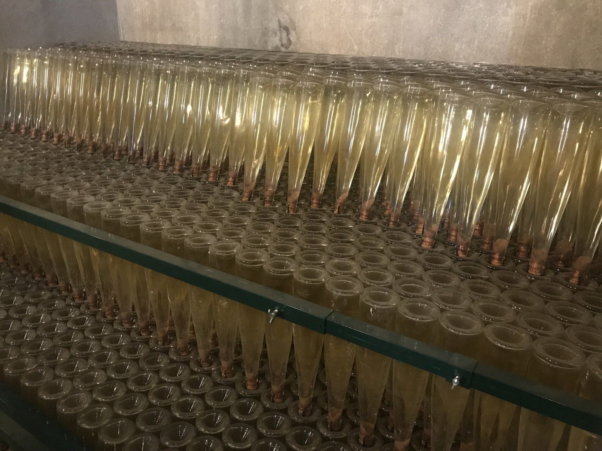 A row of champagne flutes are lined up on a glass shelf.