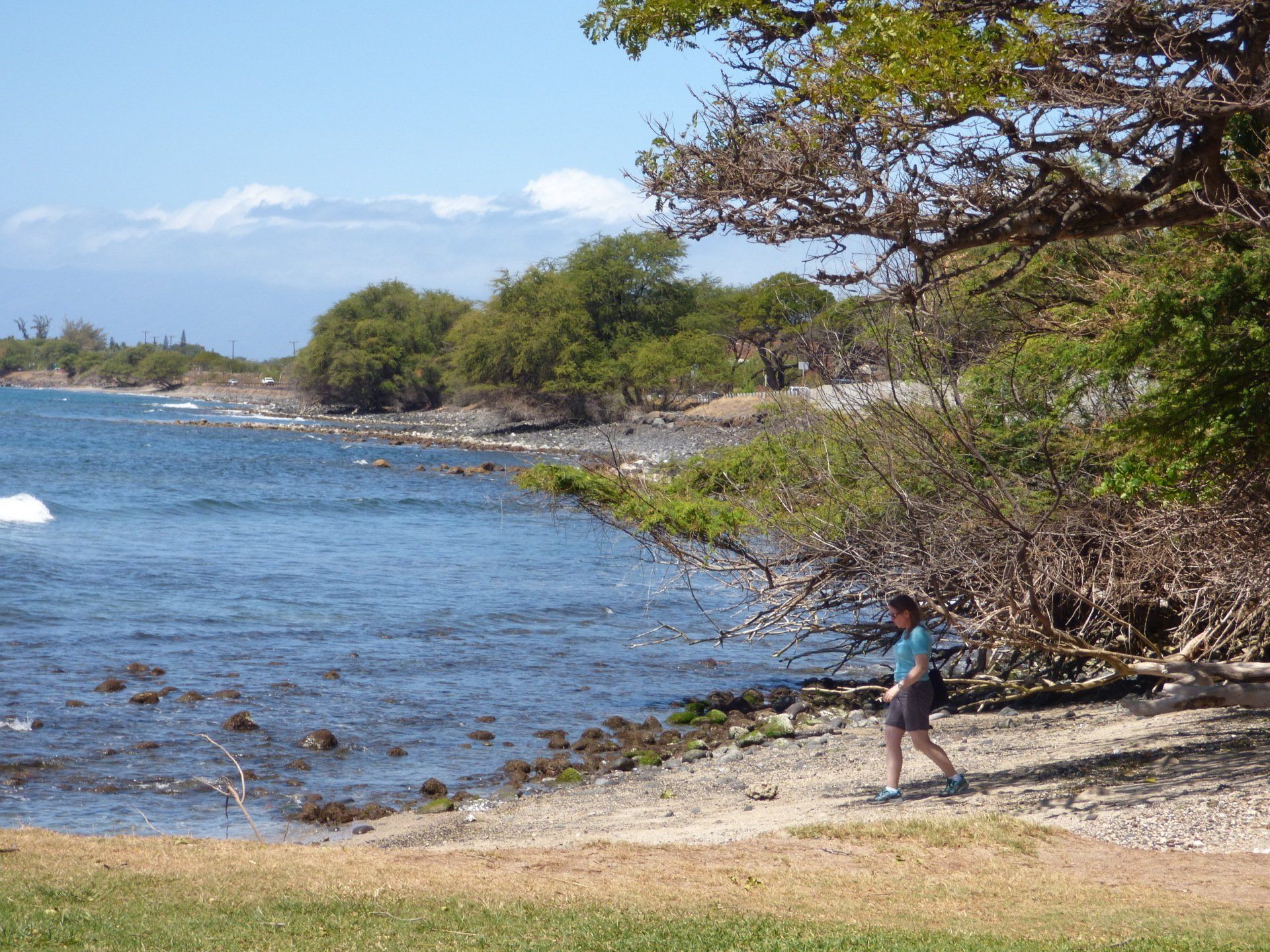 A woman is walking along the shore of a body of water
