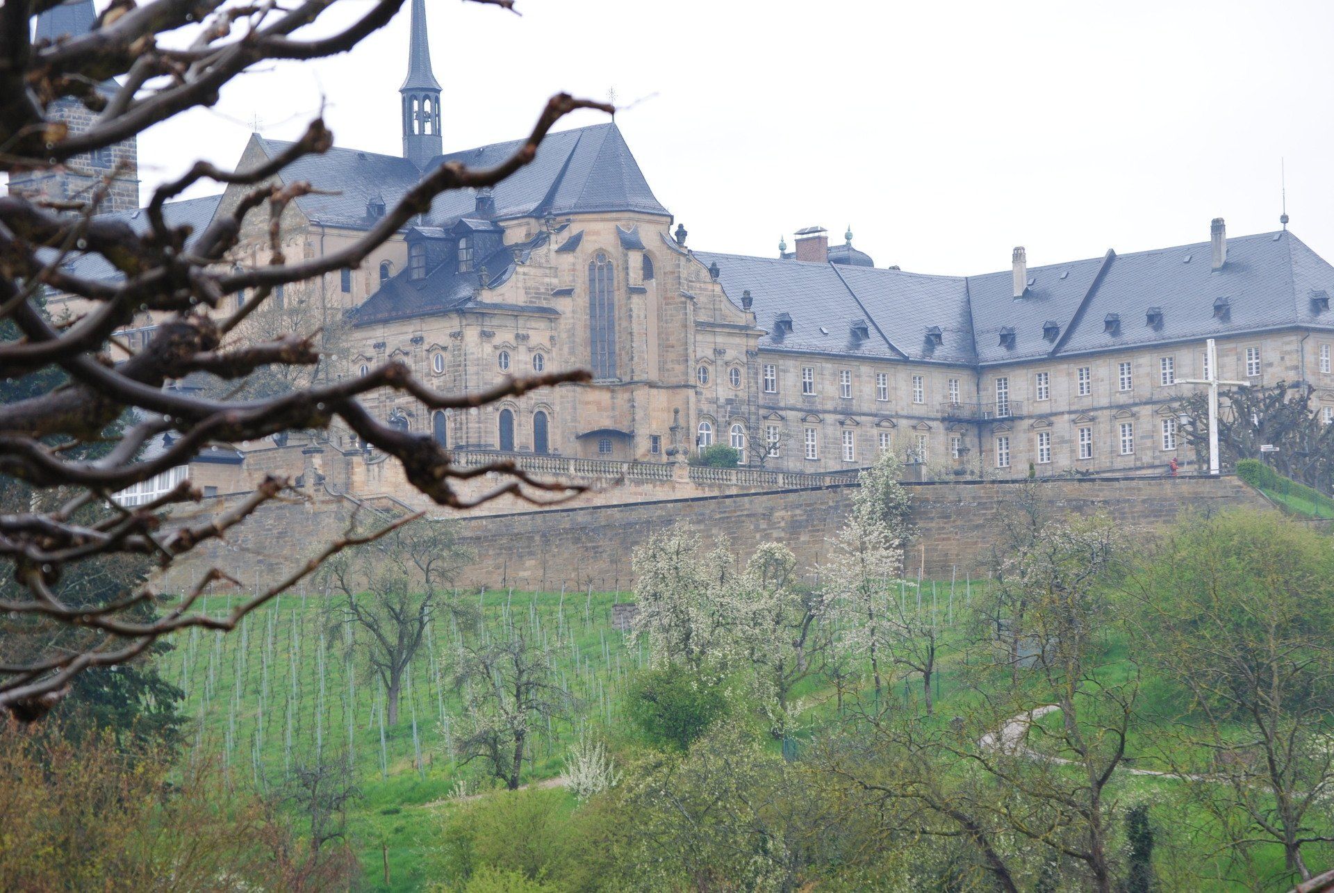 A large building with a steeple is surrounded by trees