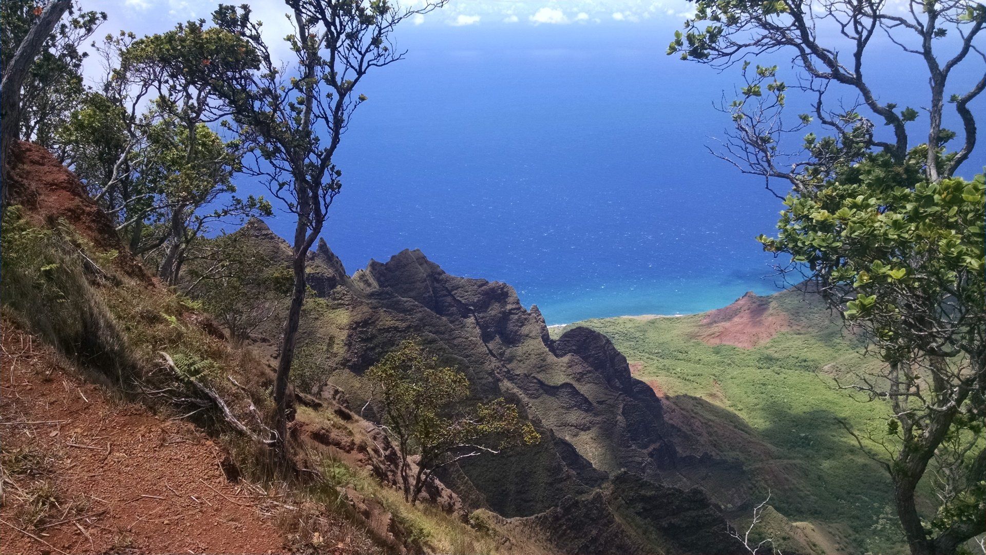 A view of the ocean from the top of a mountain