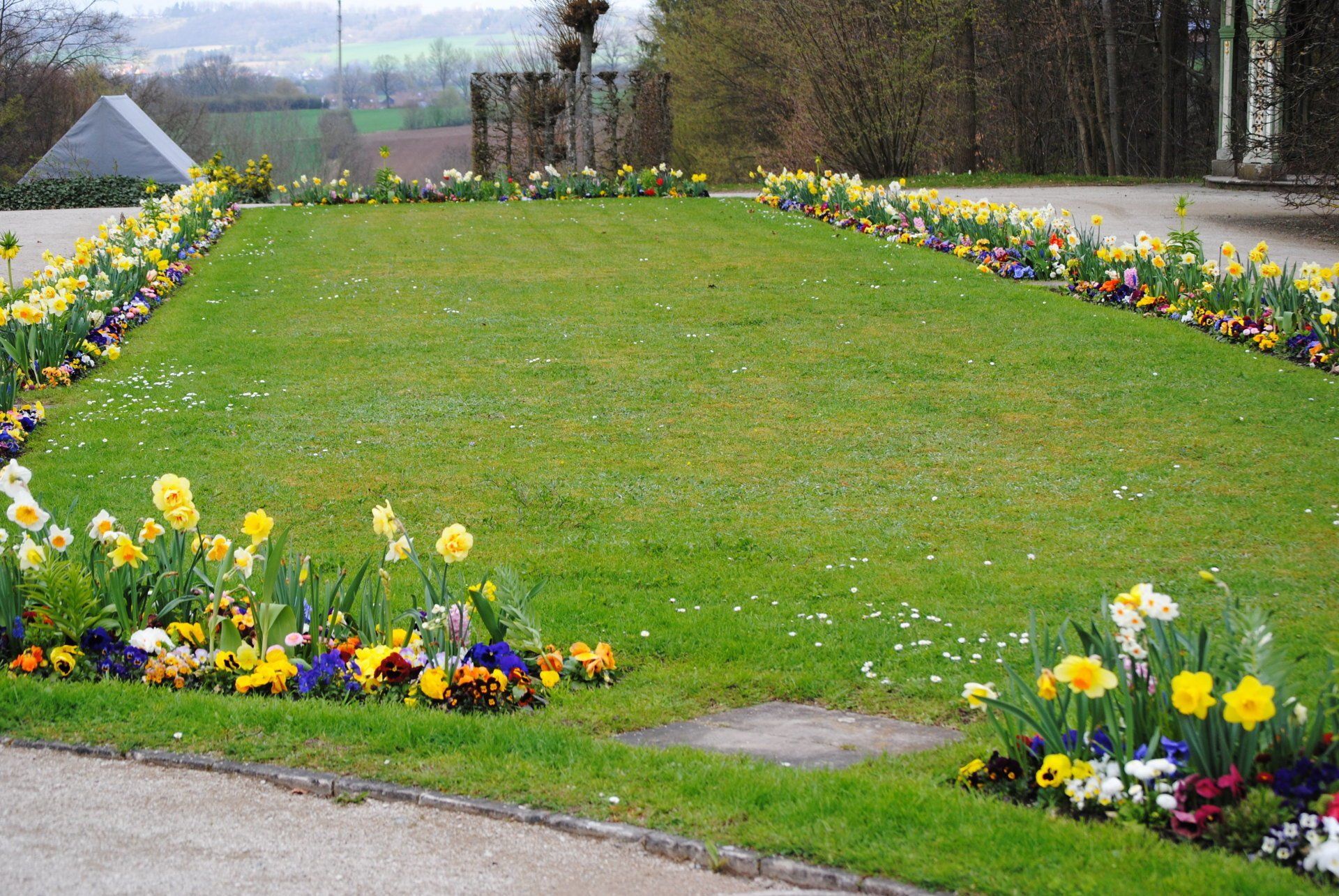 A lush green field with flowers in the foreground