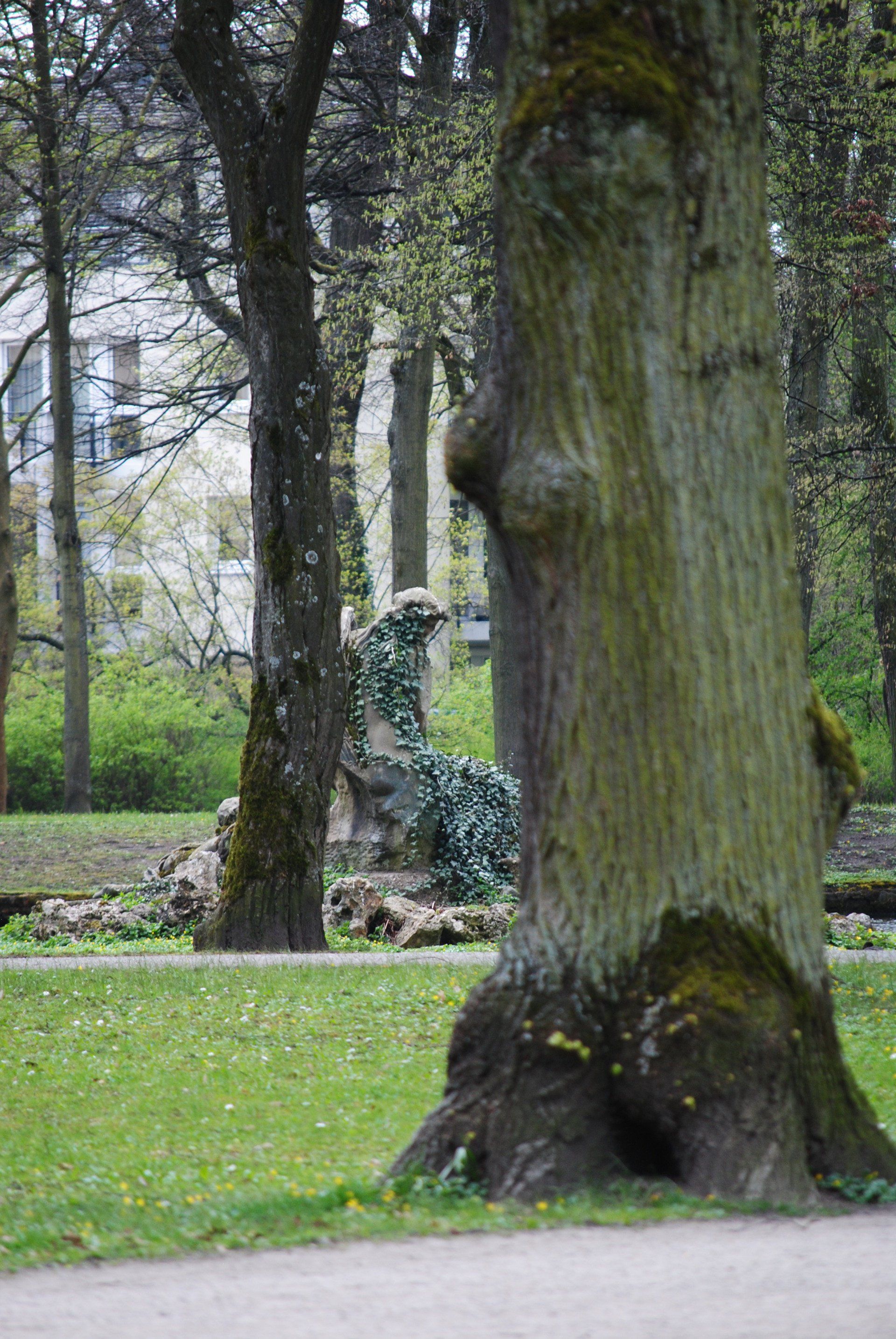 A tree trunk in a park with a statue in the background.