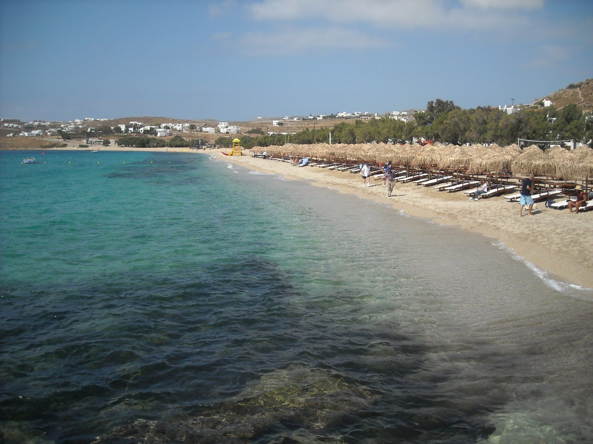 A beach with a lot of chairs and umbrellas