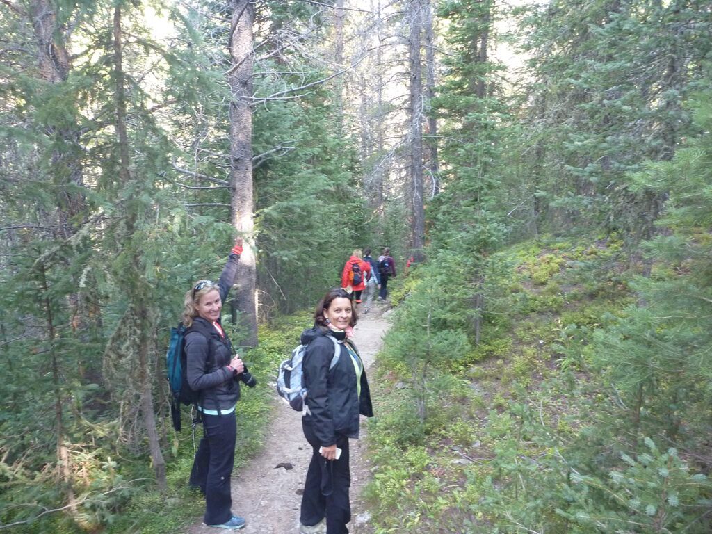 A group of people are walking down a path in the woods.