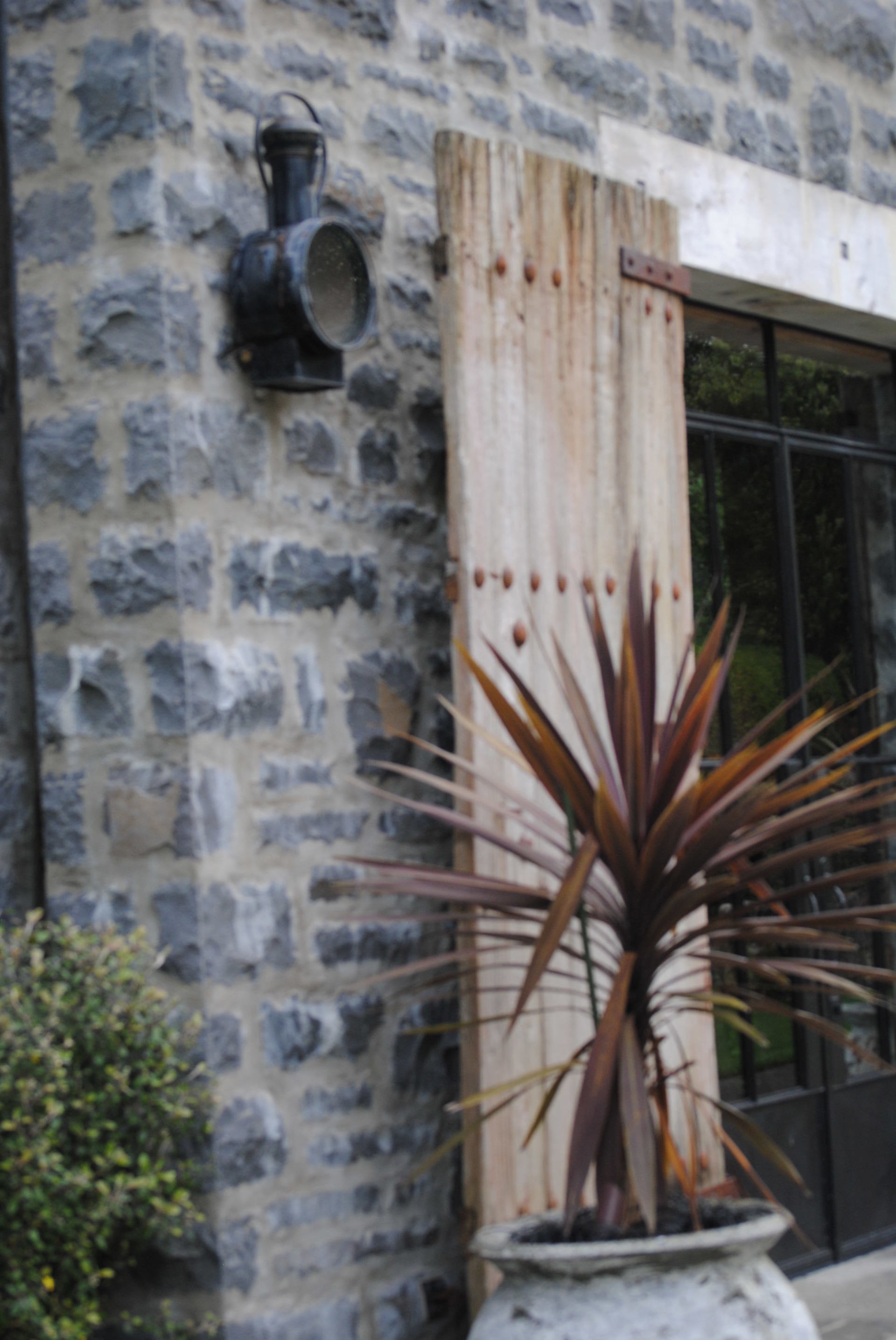 A potted plant is in front of a stone building