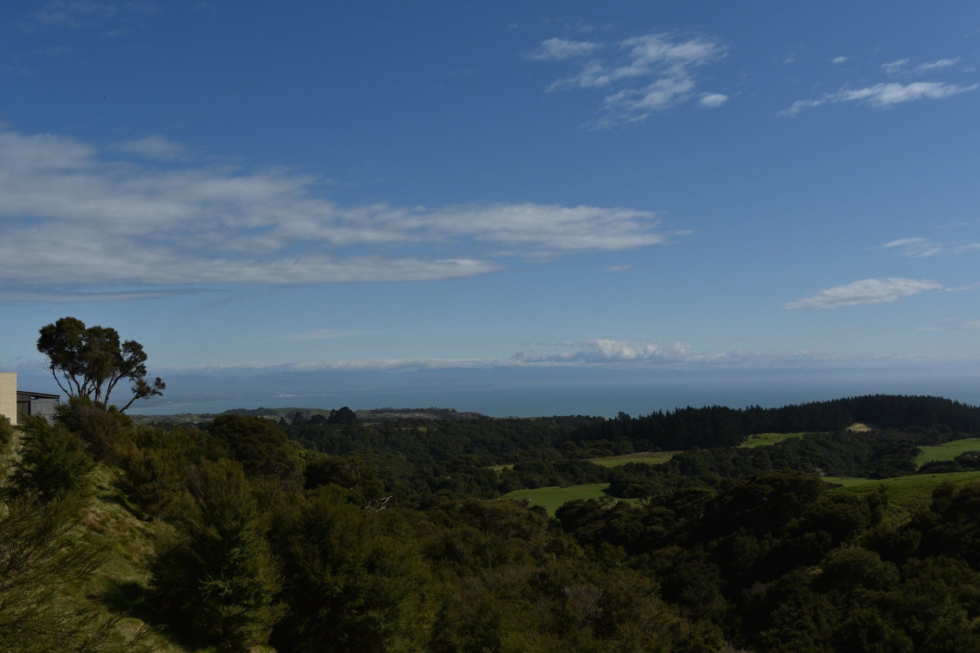 A view of the ocean from a hill with trees in the foreground.