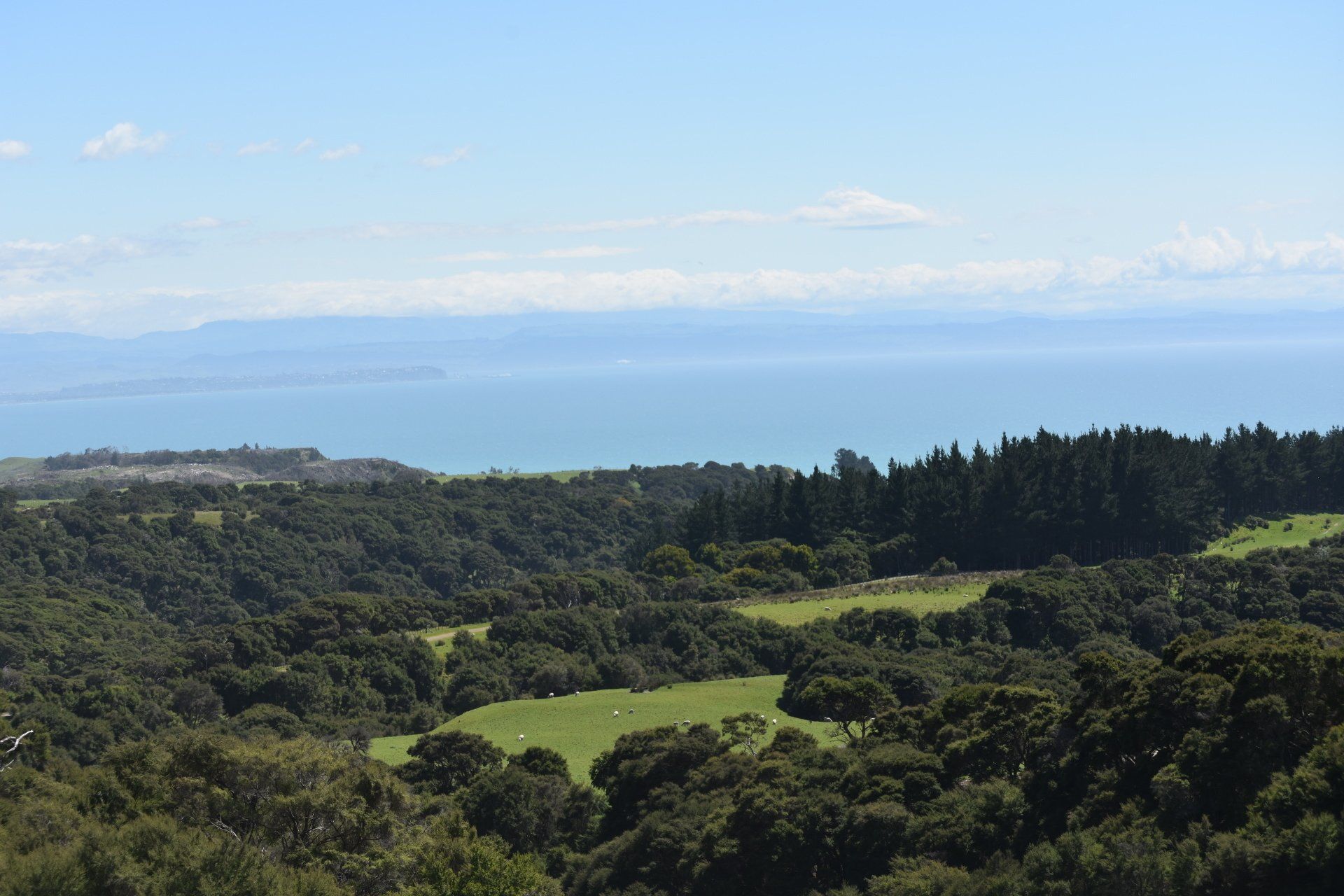 A view of a field with trees and a body of water in the background.