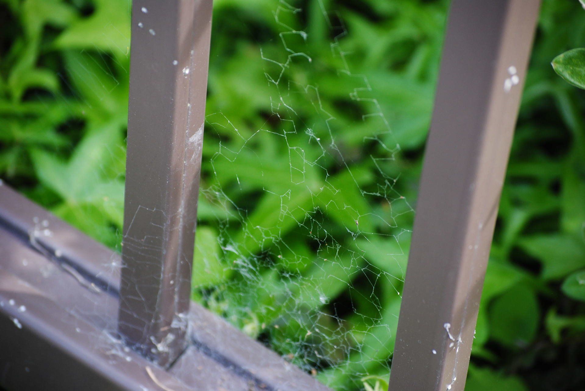 A close up of a spider web on a railing.