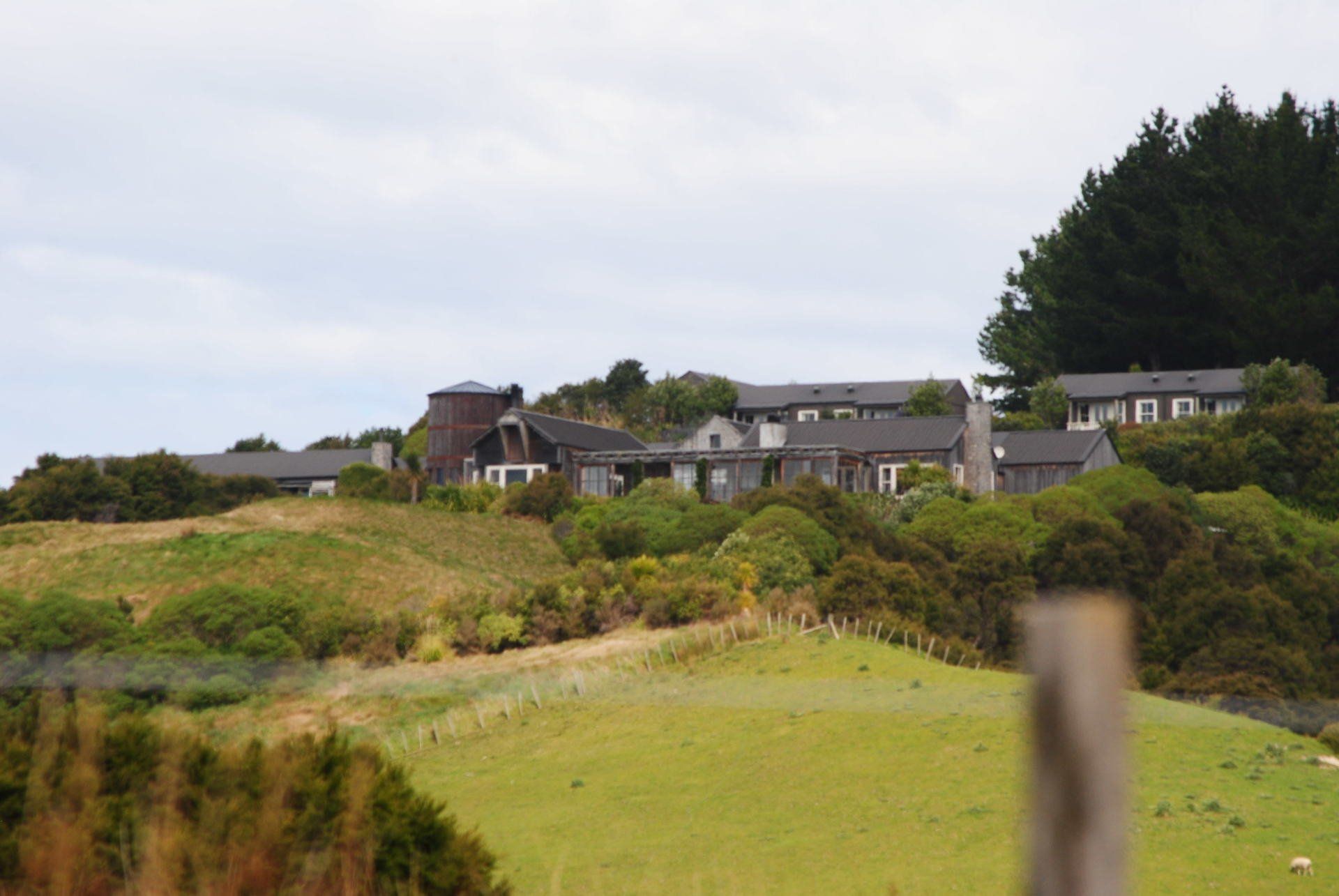 A group of houses are sitting on top of a grassy hill.