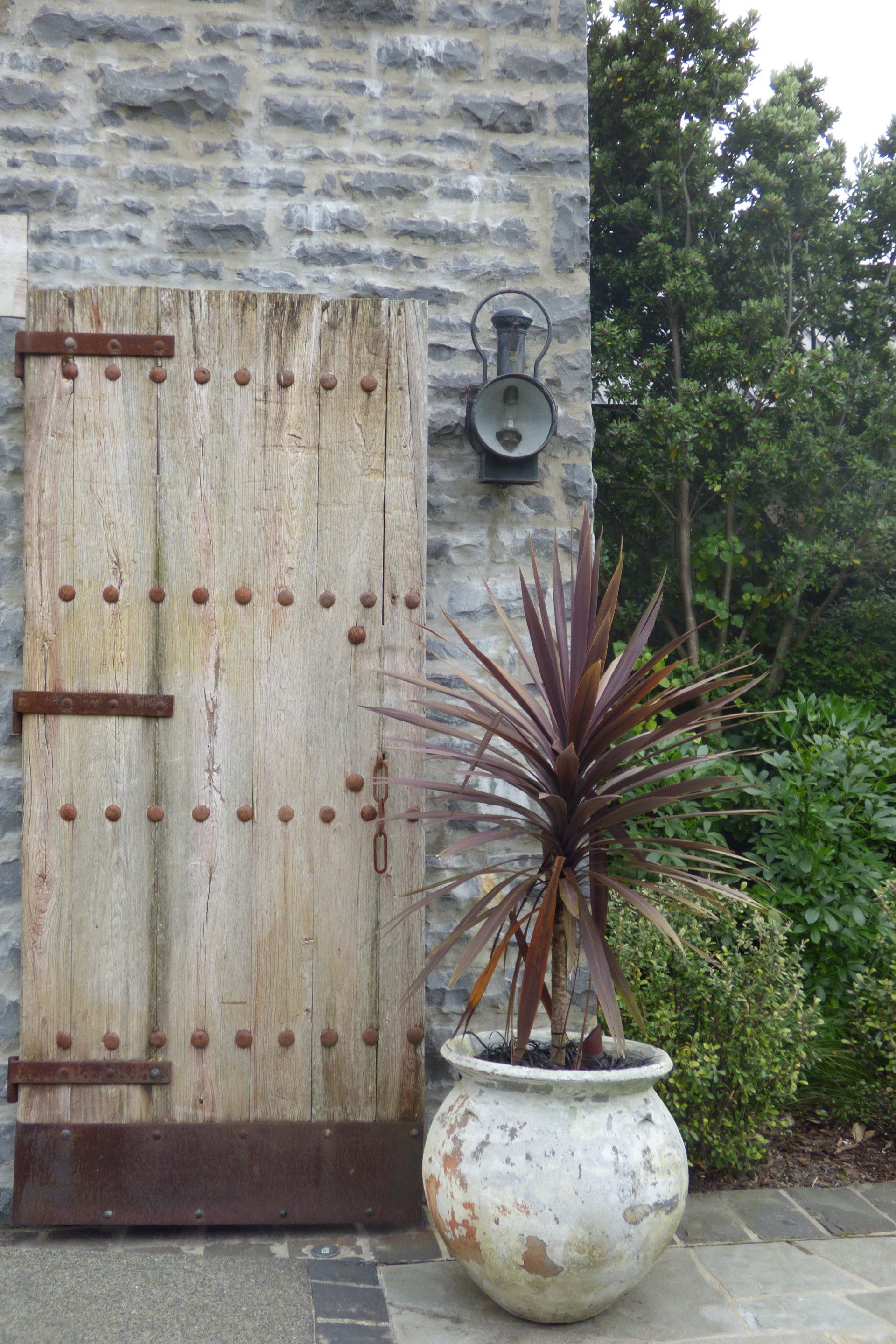 A potted plant is sitting in front of a stone wall next to a wooden door.