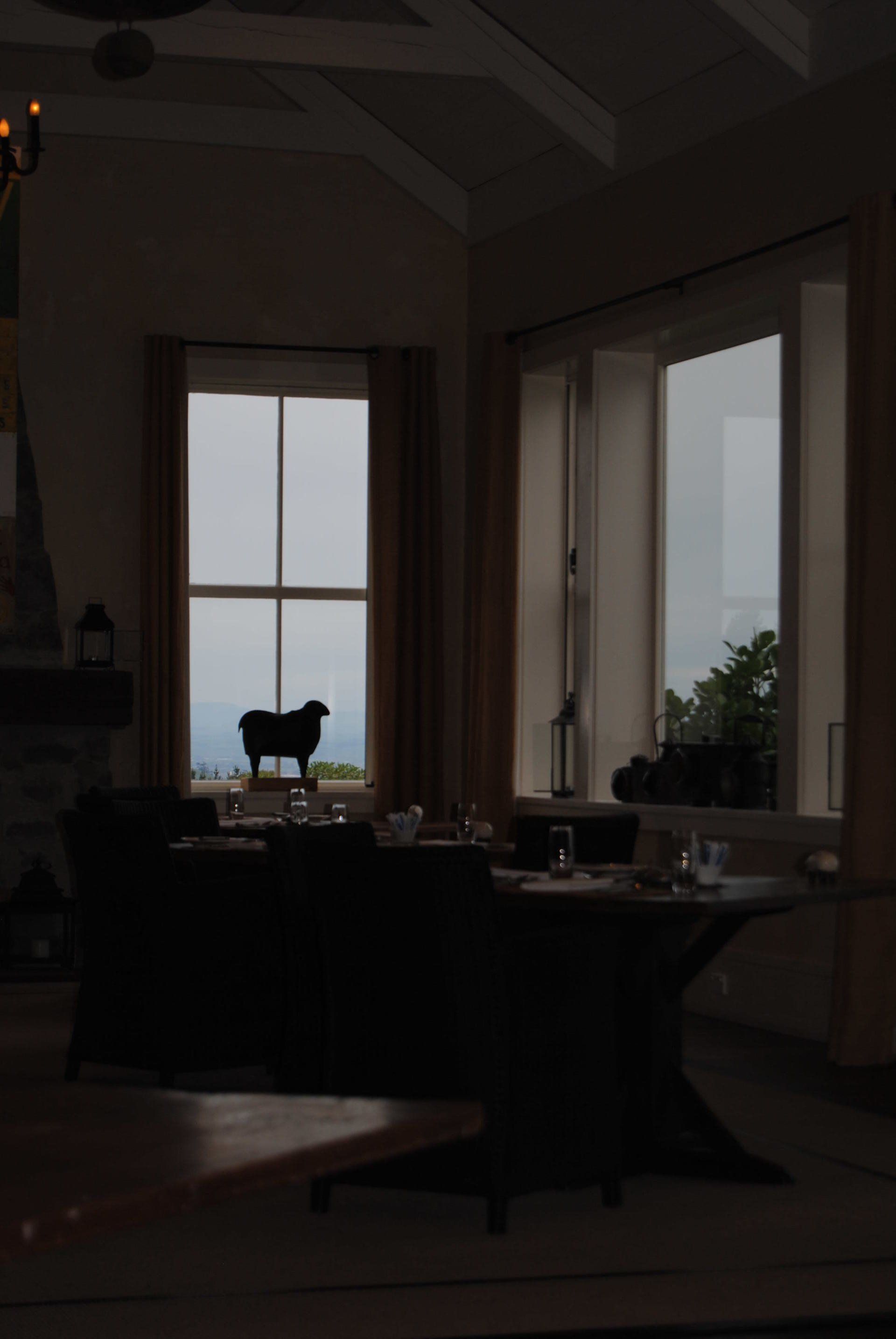 A dark room with a statue of a sheep in the window