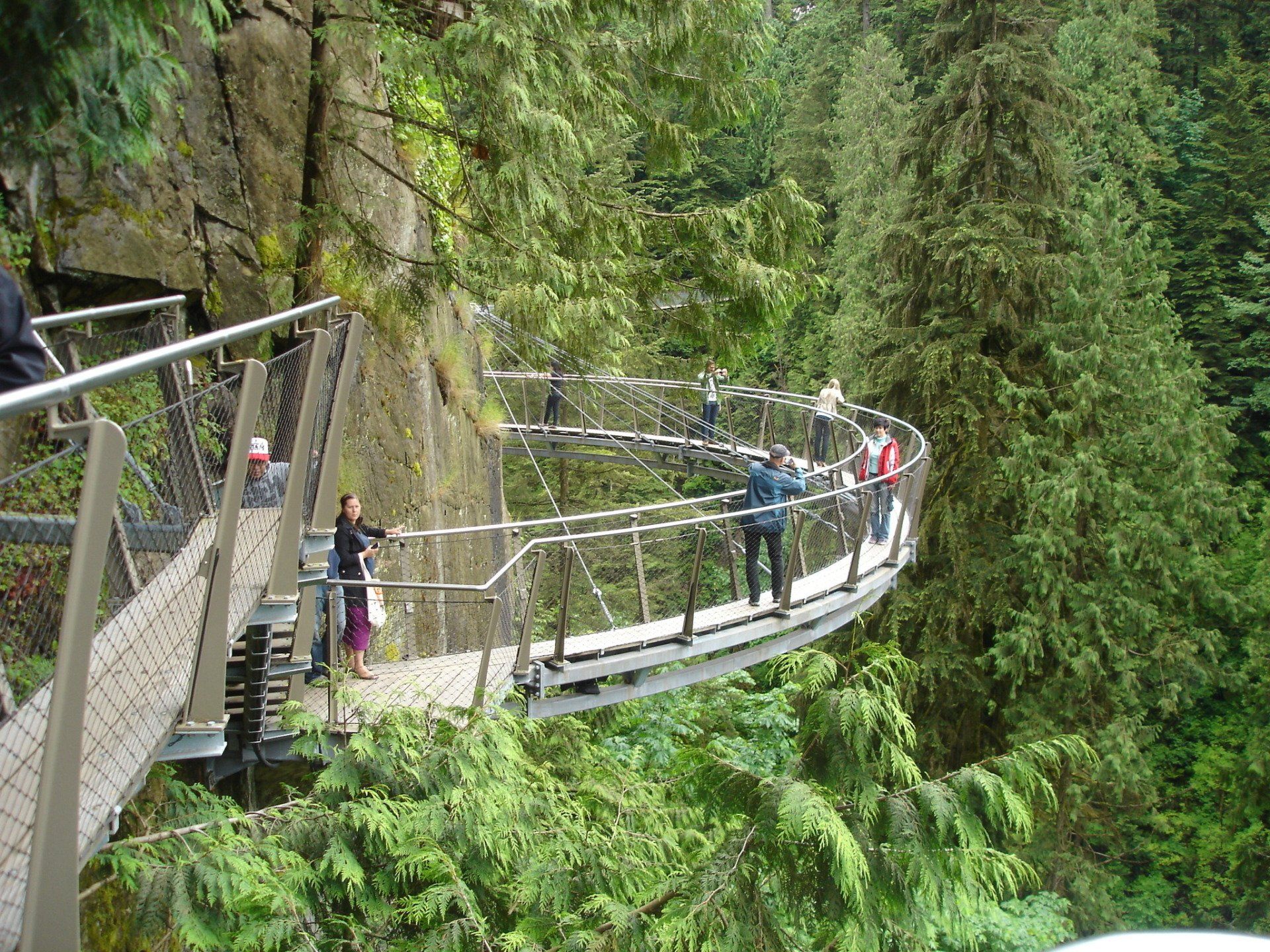 A group of people are walking across a bridge in the woods.