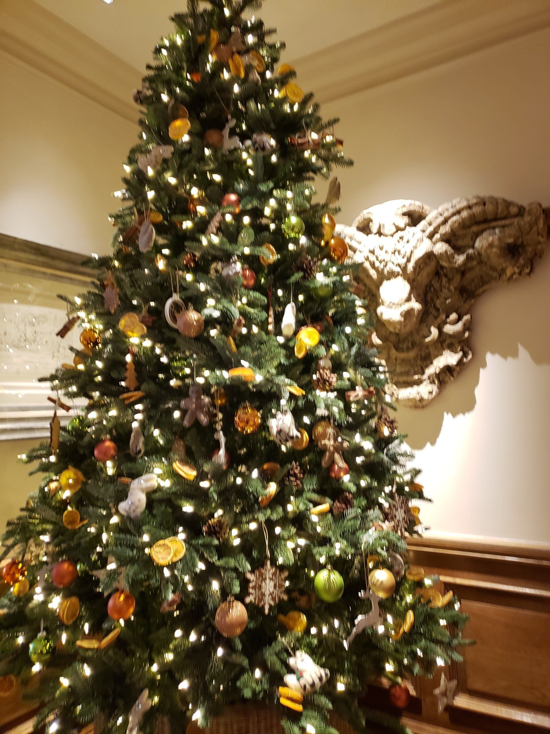 A large christmas tree with lots of ornaments and lights