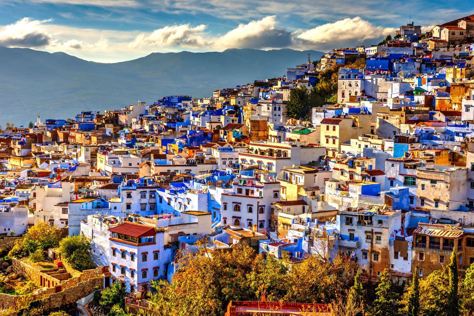 A city with a lot of blue and white buildings on a hillside.