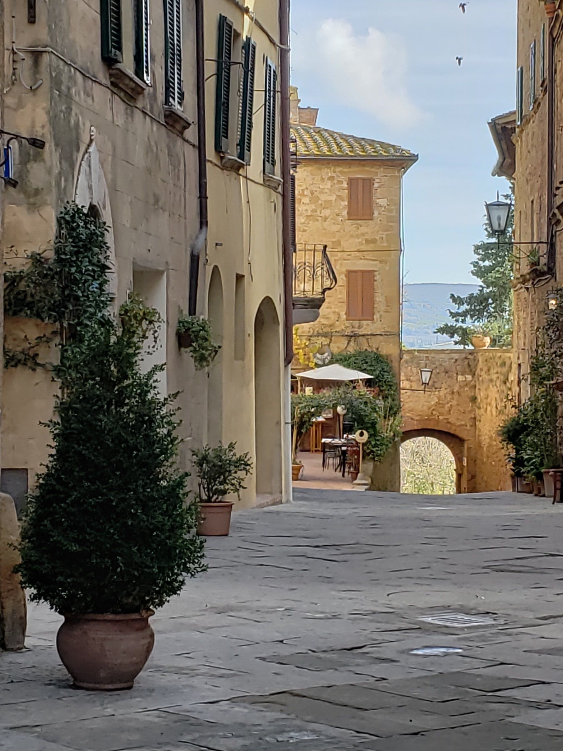 A narrow alleyway between two buildings with potted plants on the sidewalk