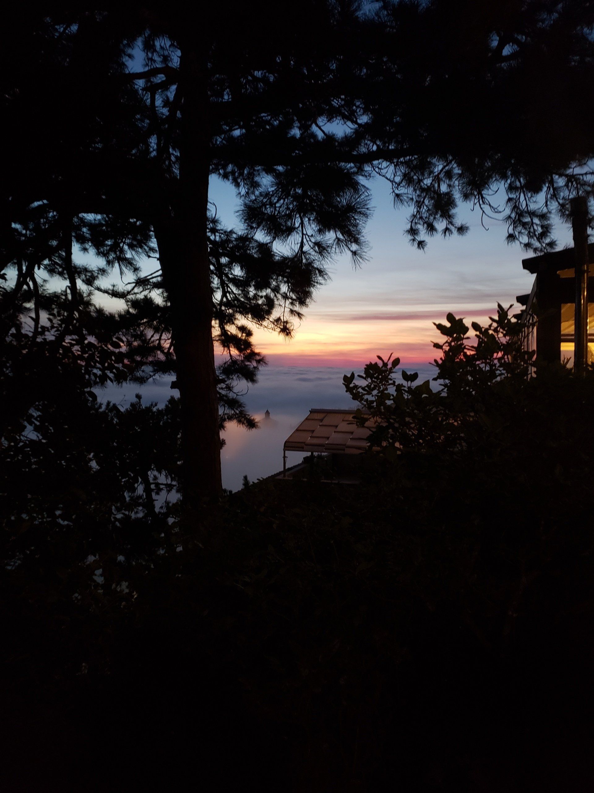 A sunset over a body of water with trees in the foreground