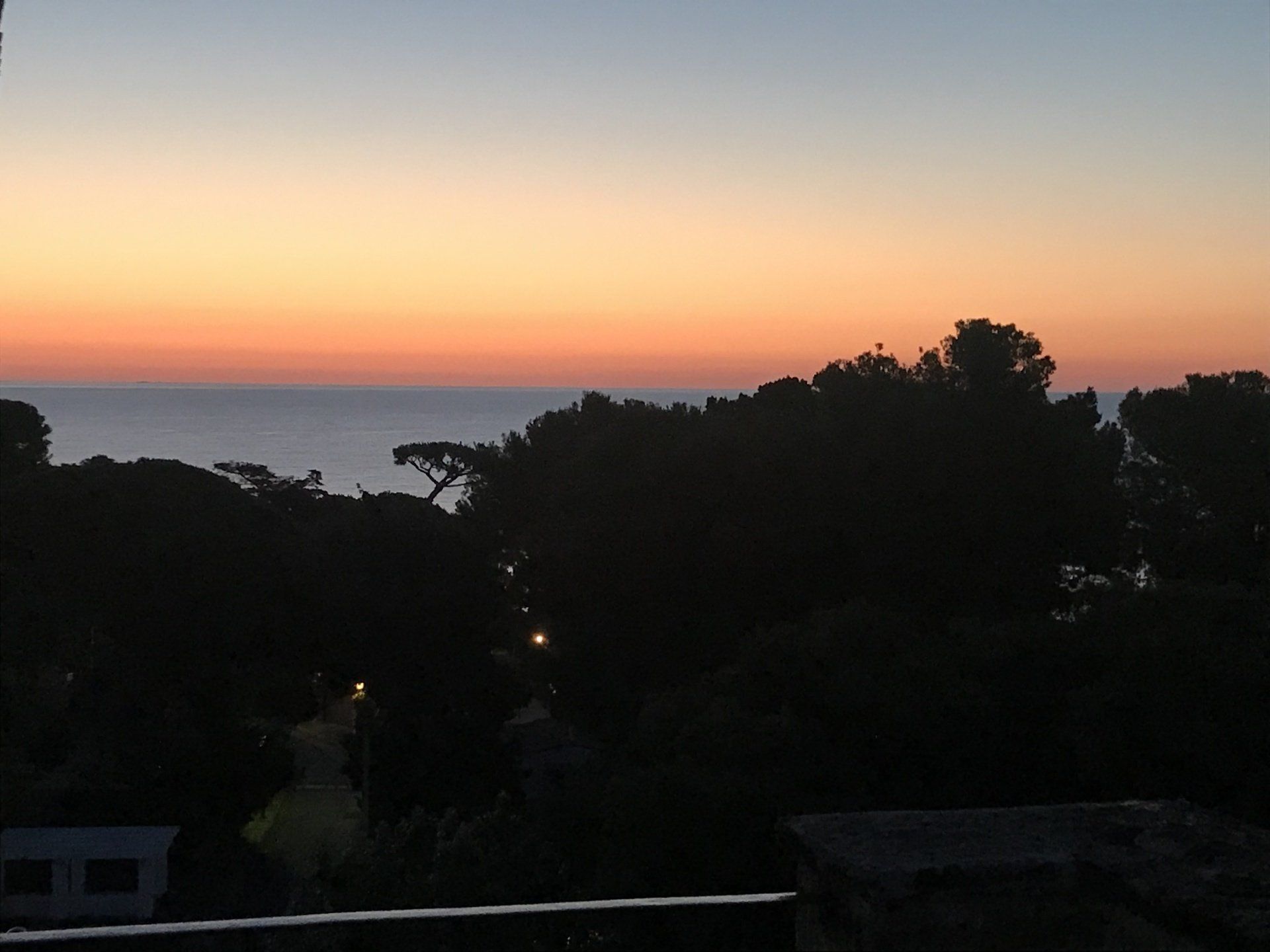 A sunset over the ocean with trees in the foreground