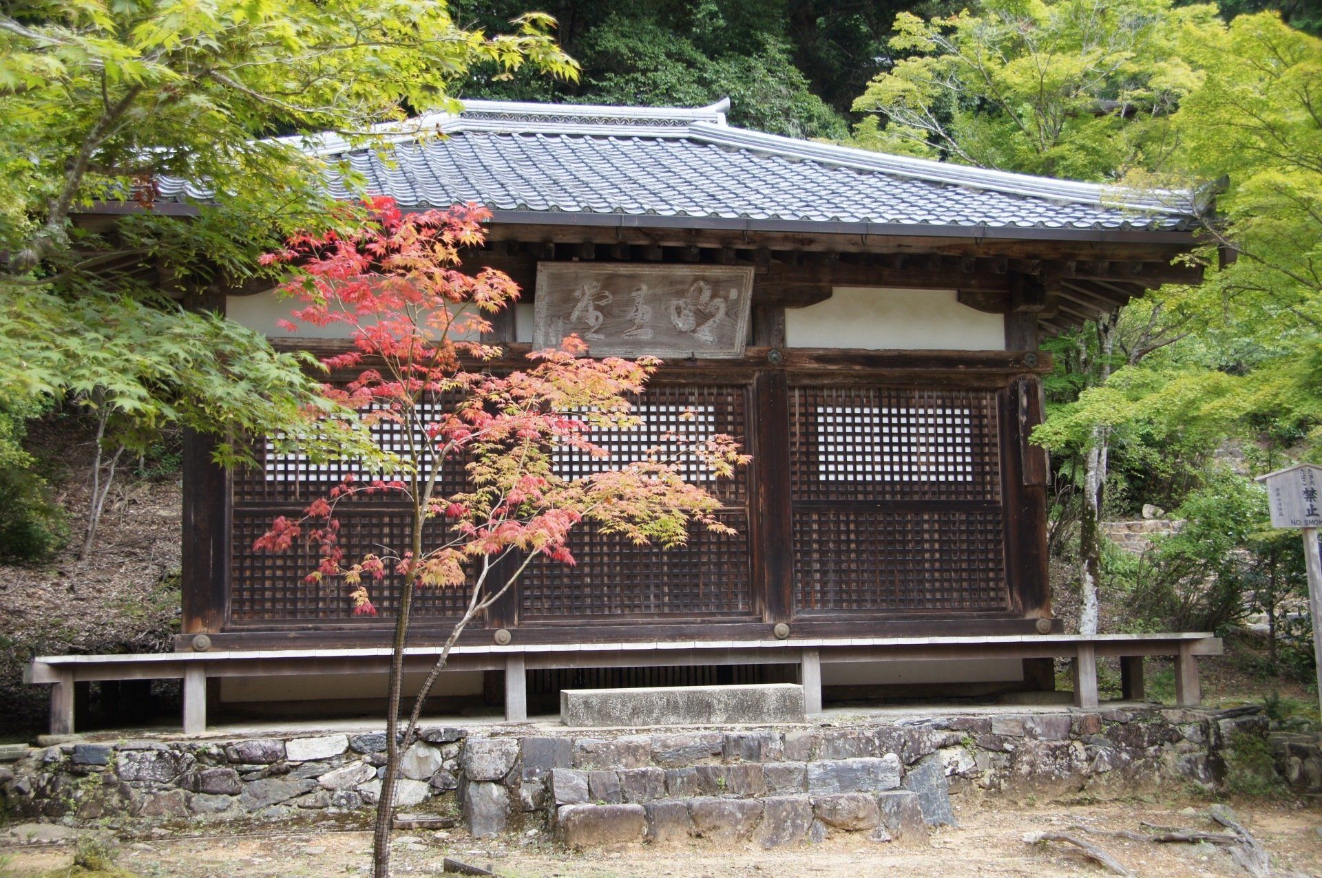 A small temple in the middle of a forest with a tree in front of it.
