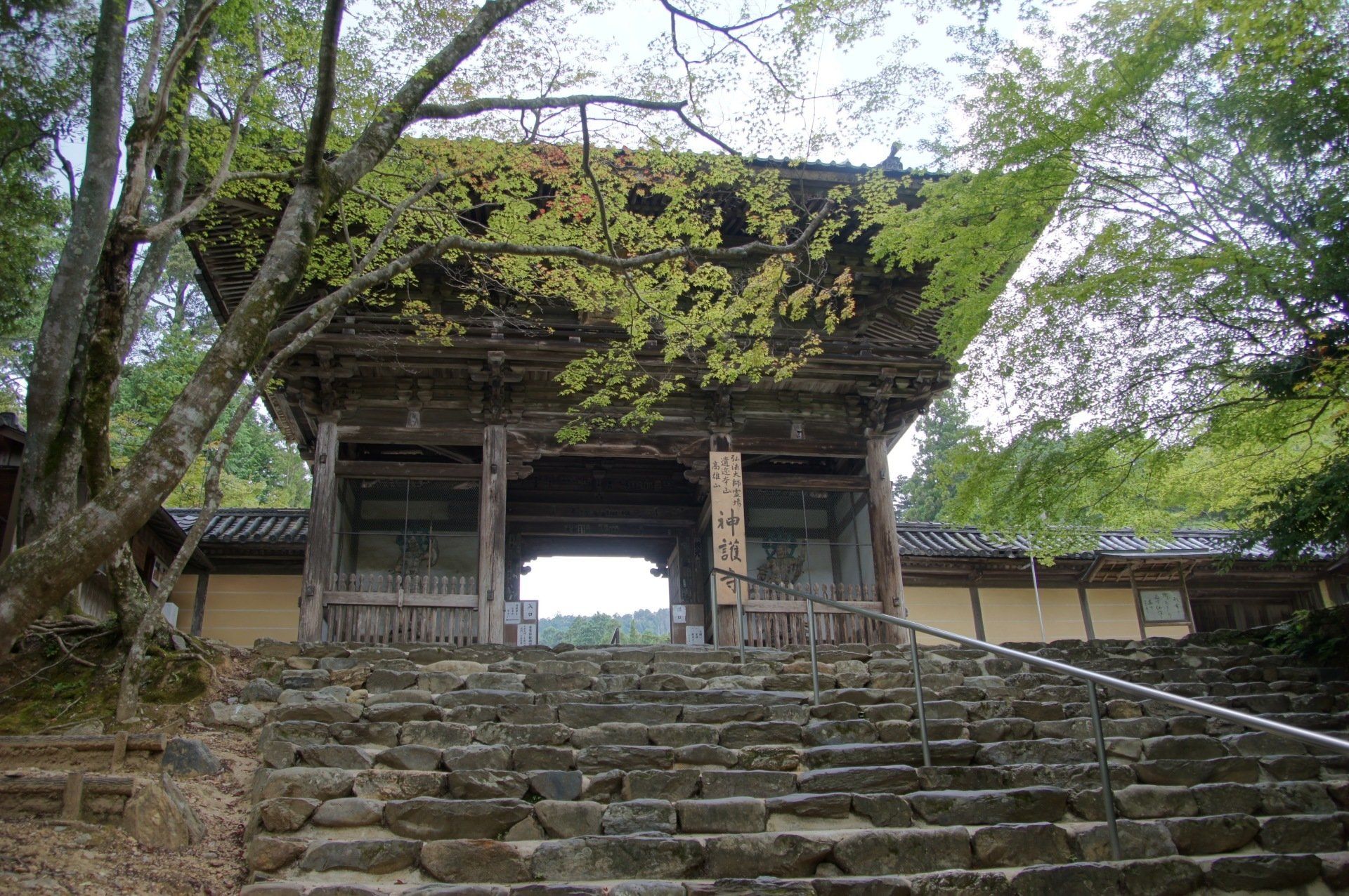 A stone staircase leading up to a building with trees in the background.