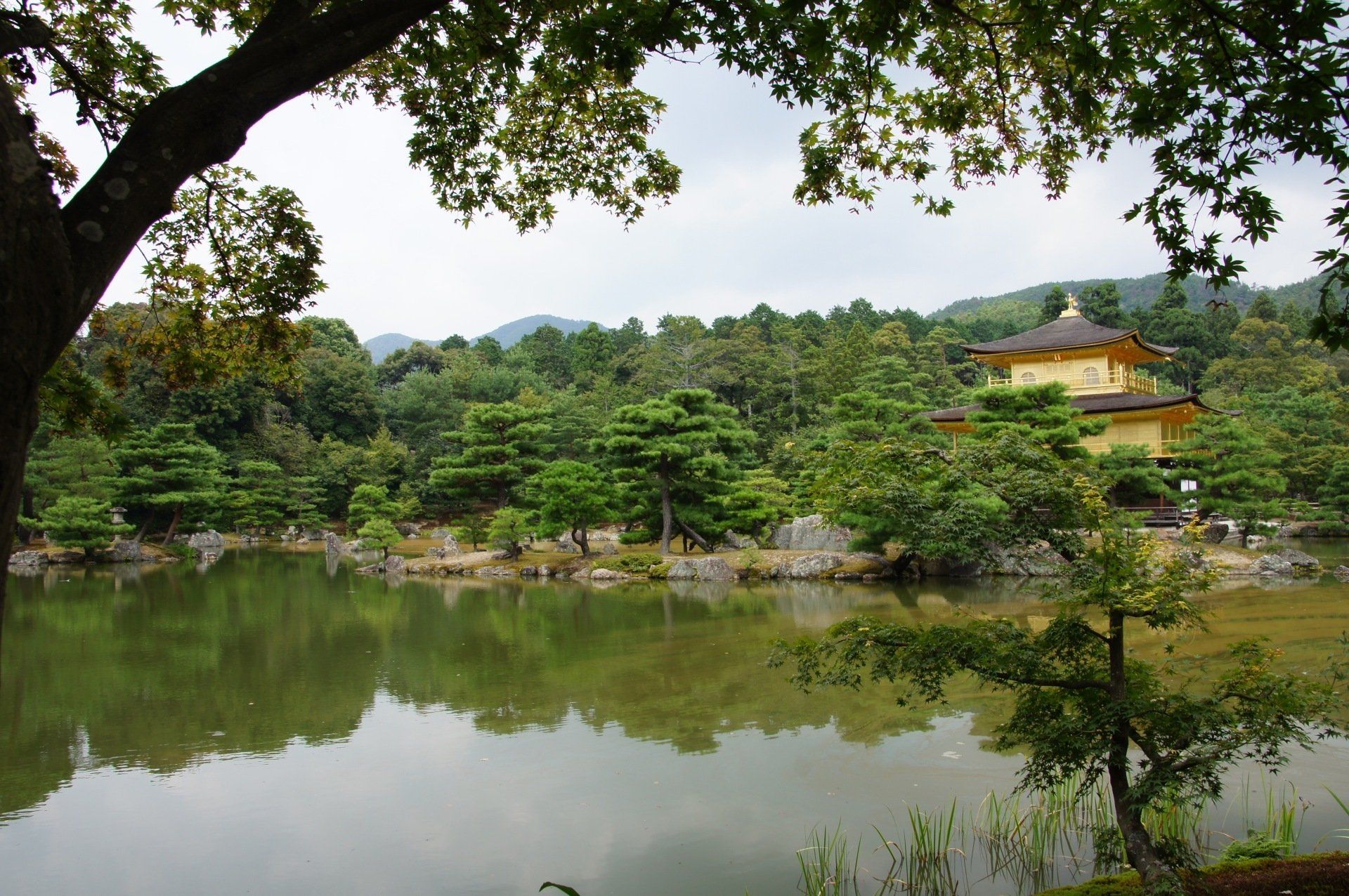 A lake with trees and a building in the background