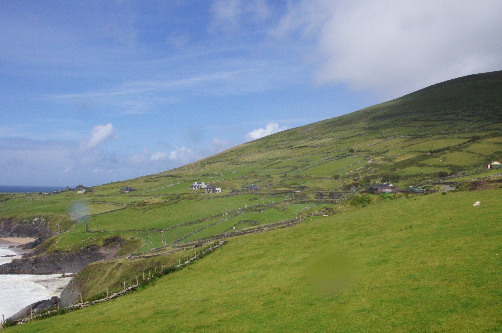 A lush green hillside with a stone wall and a beach in the background.