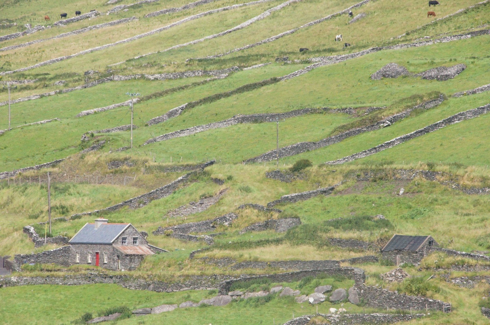 A small house is sitting in the middle of a grassy field.