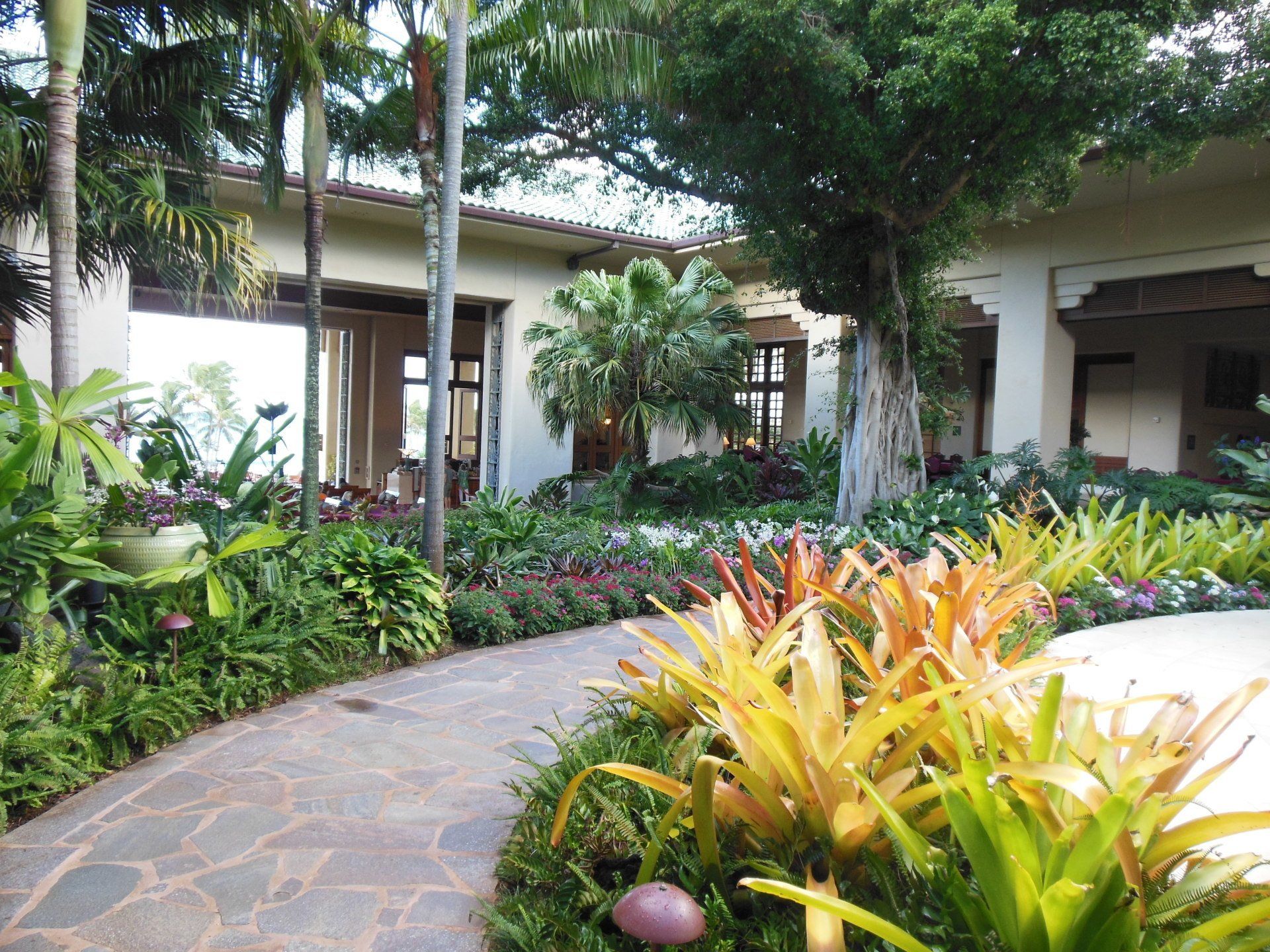 A walkway surrounded by plants and trees leads to a building