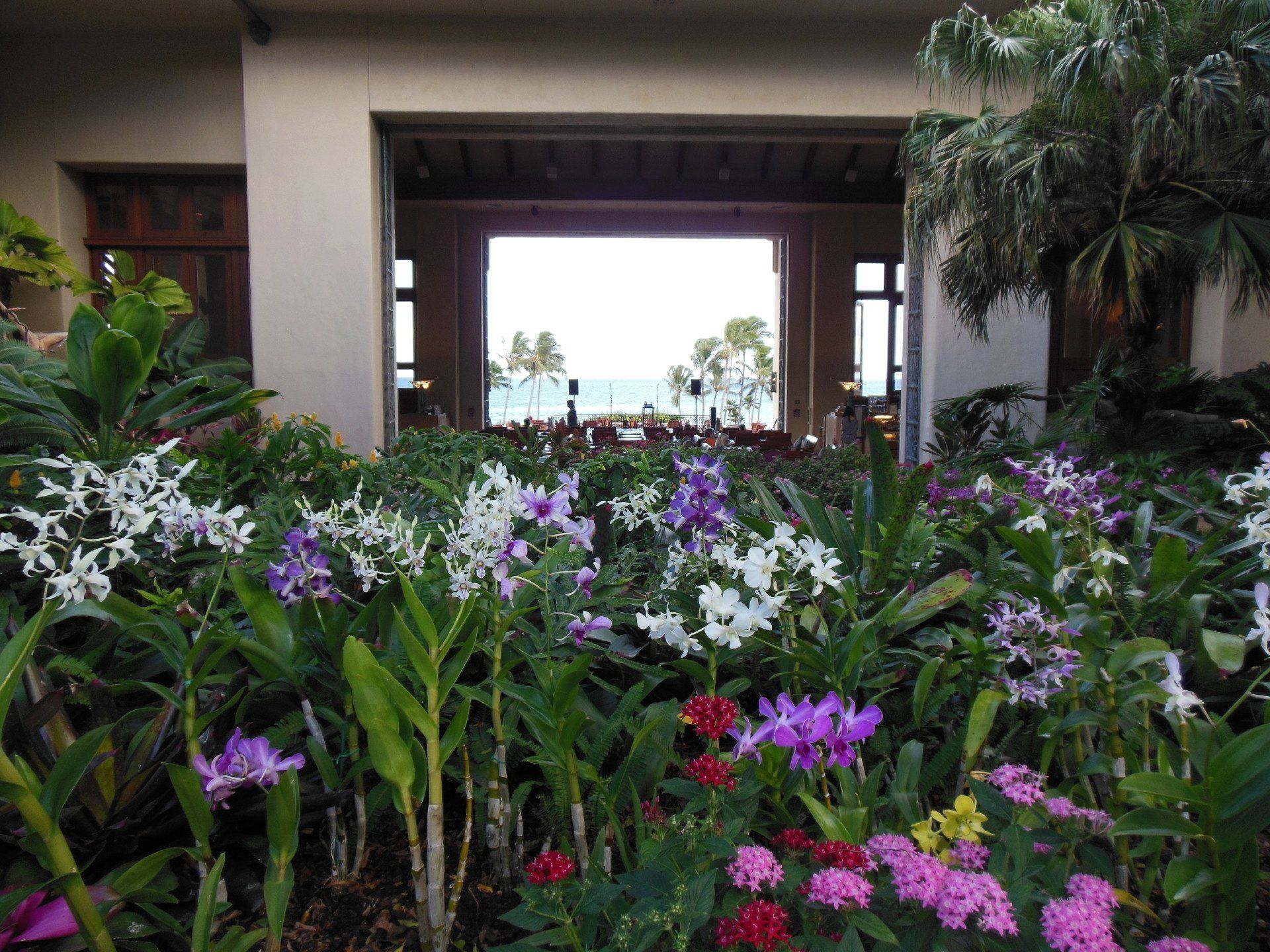 A bunch of flowers are in front of a building