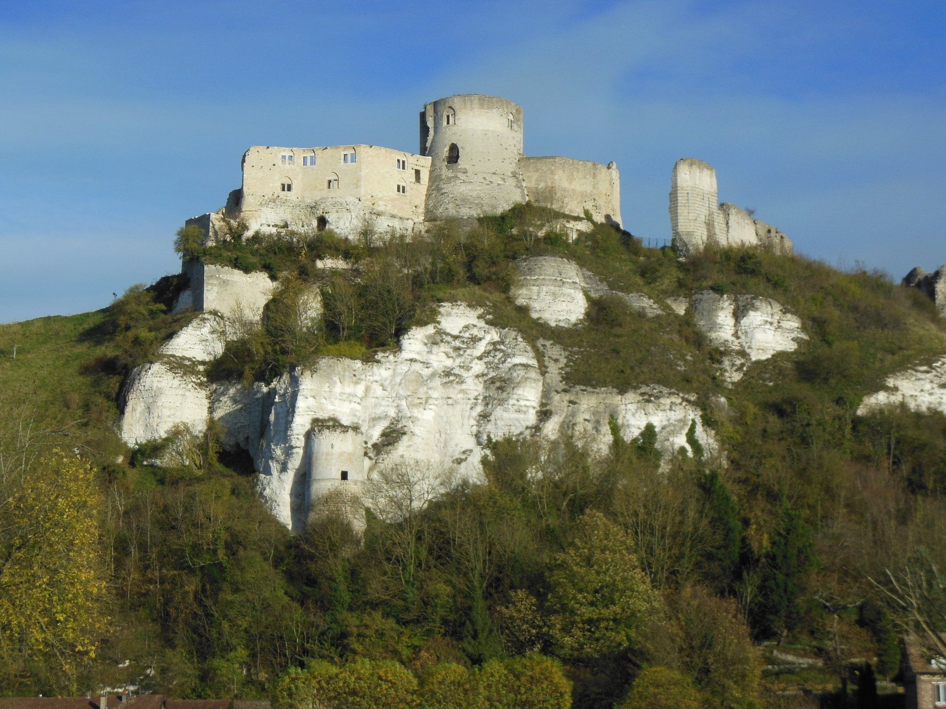A large castle is sitting on top of a hill surrounded by trees.