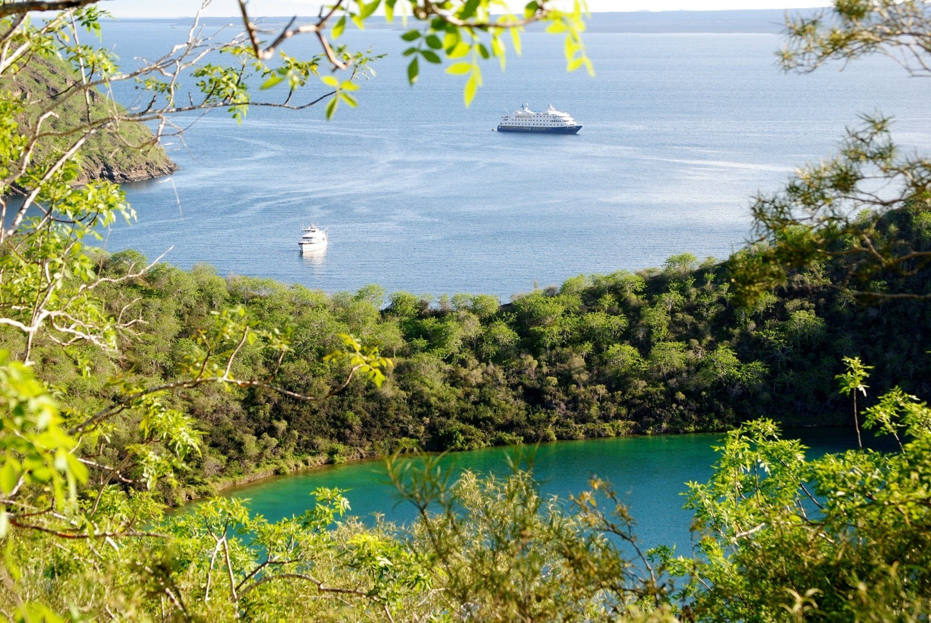 A boat is floating on a body of water surrounded by trees