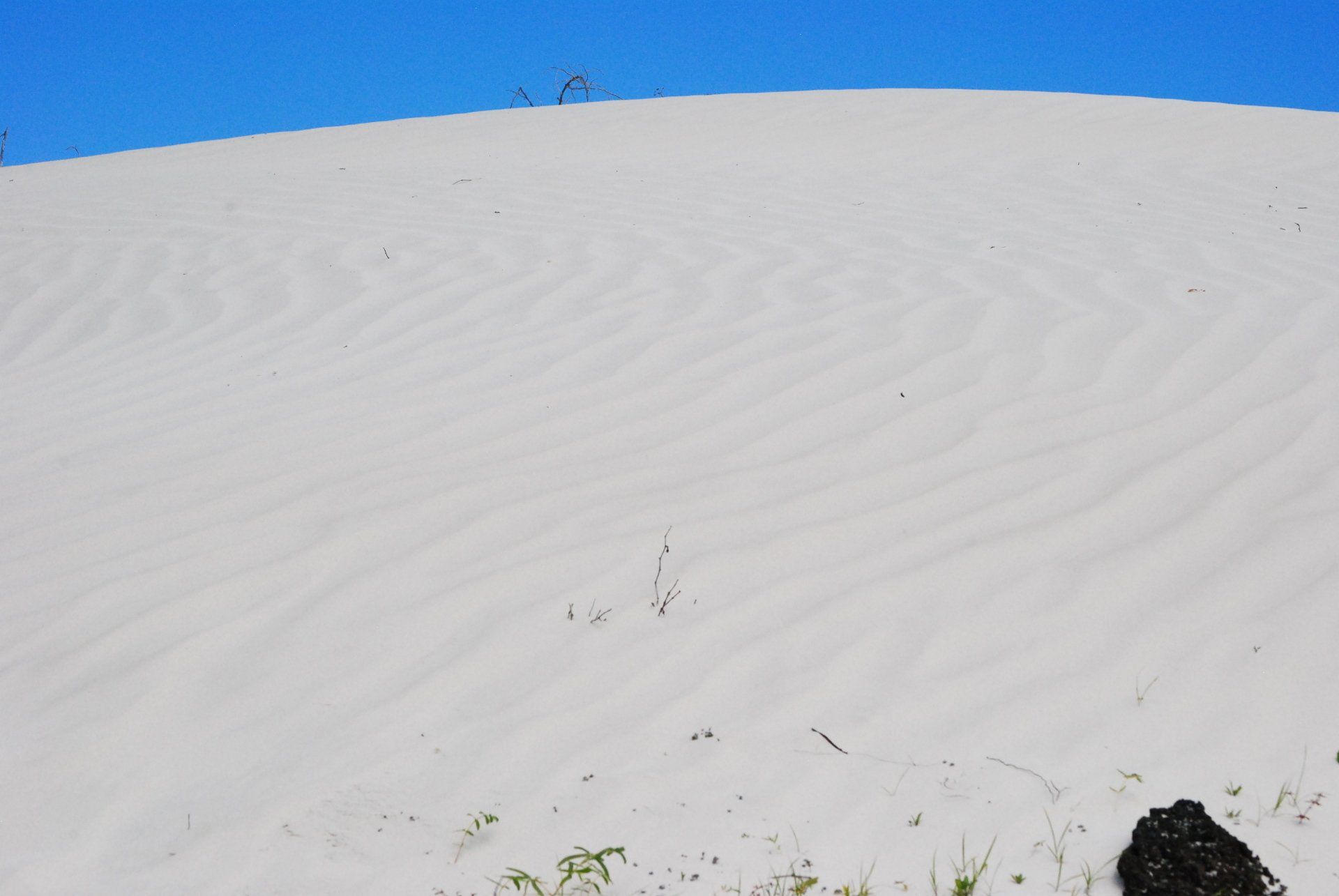 A large white sand dune with a blue sky in the background