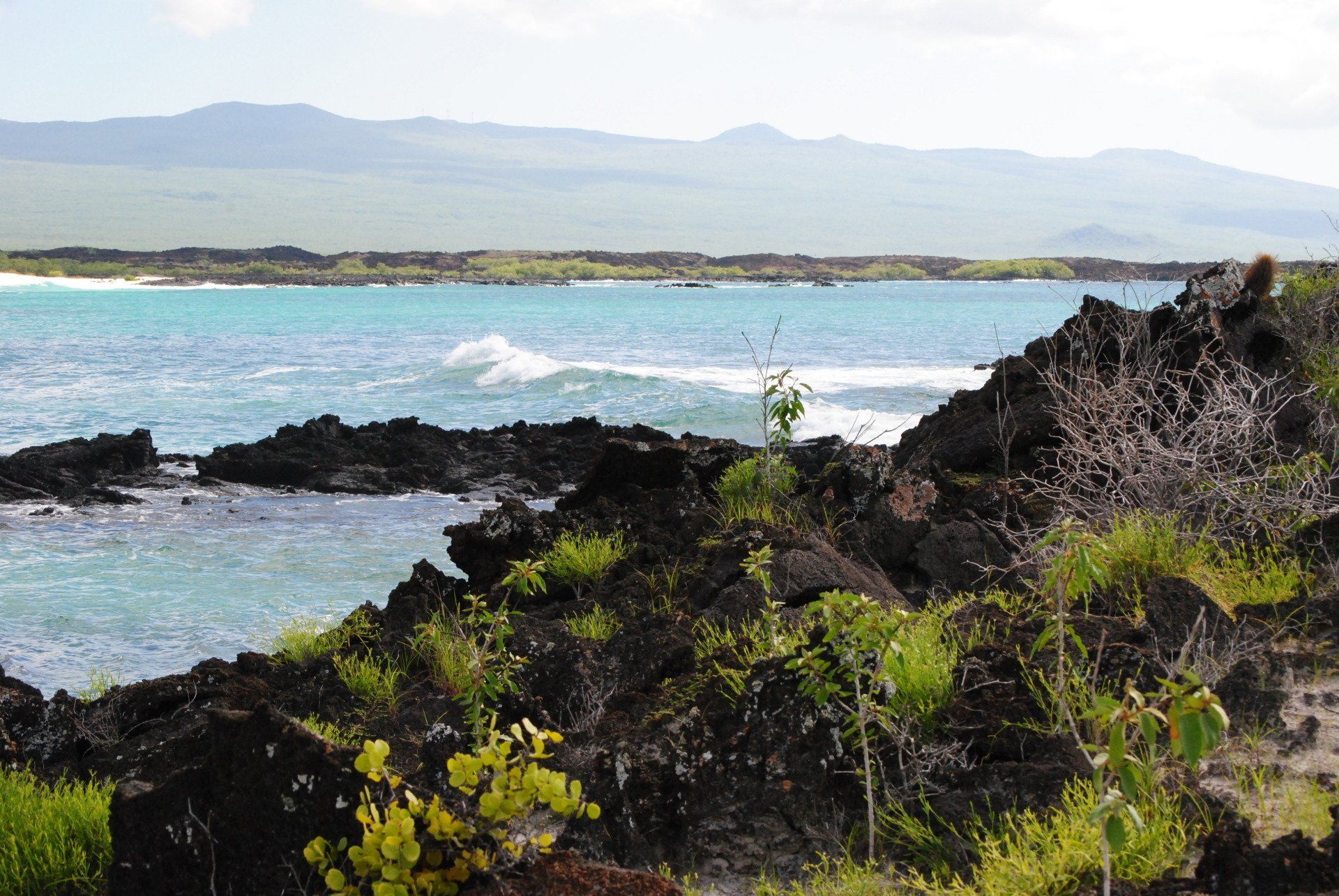 A view of the ocean from a rocky shoreline with mountains in the background