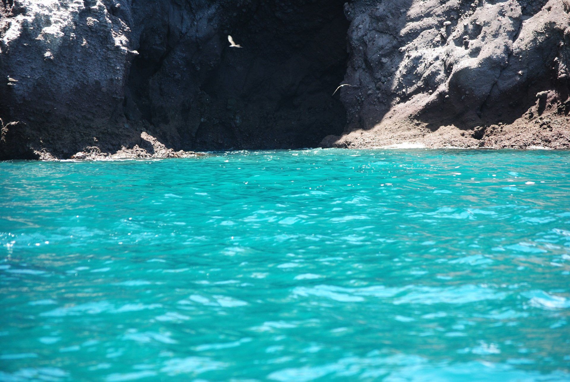 A bird is flying over a large body of water