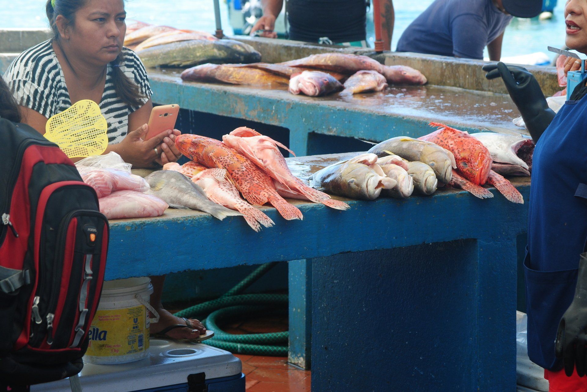 A woman is looking at her phone while standing in front of a table full of fish