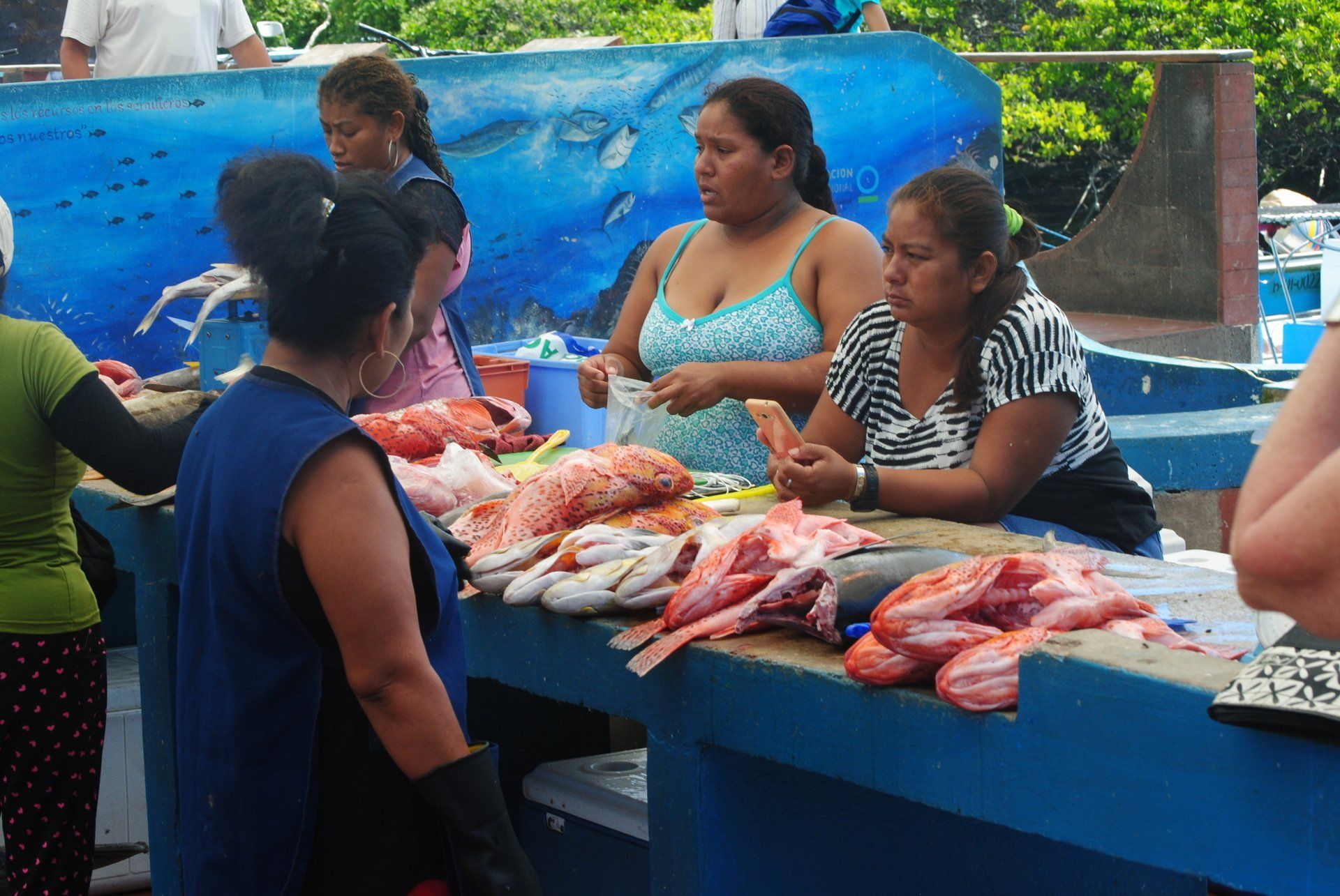 A group of women are standing around a table selling fish