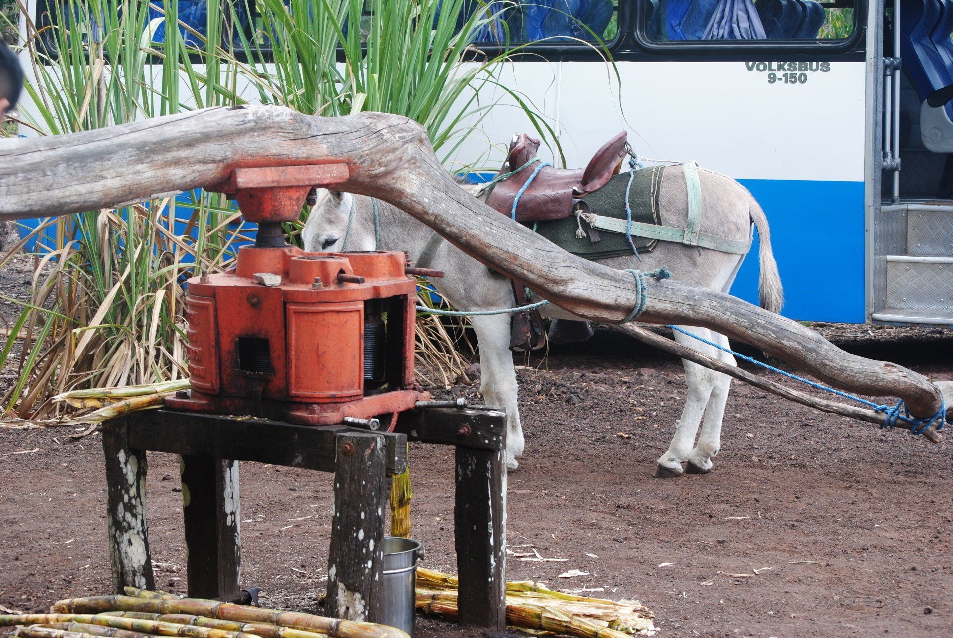A donkey with a saddle is standing next to a machine