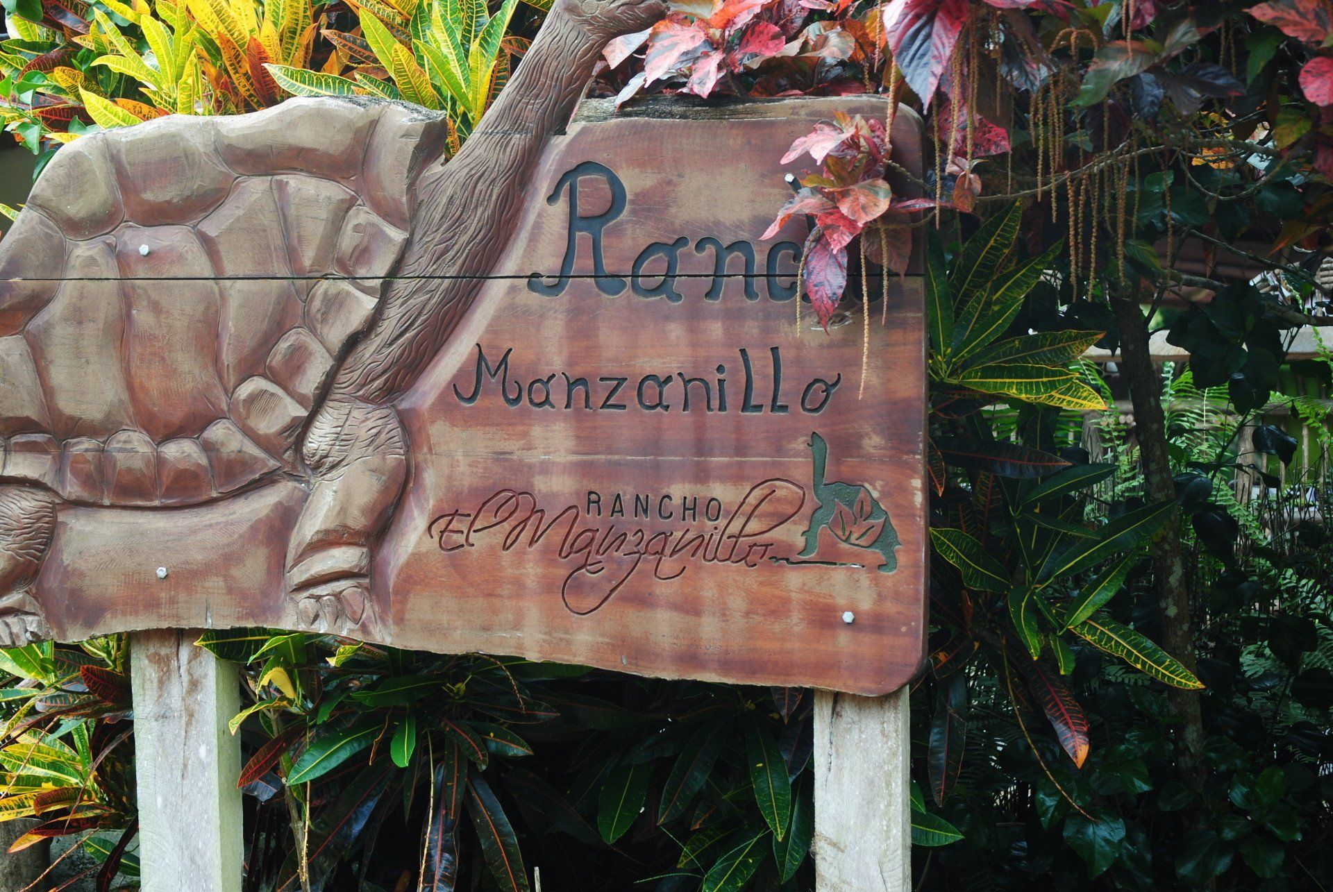 A wooden sign with a turtle on it that says ranch manzanillo