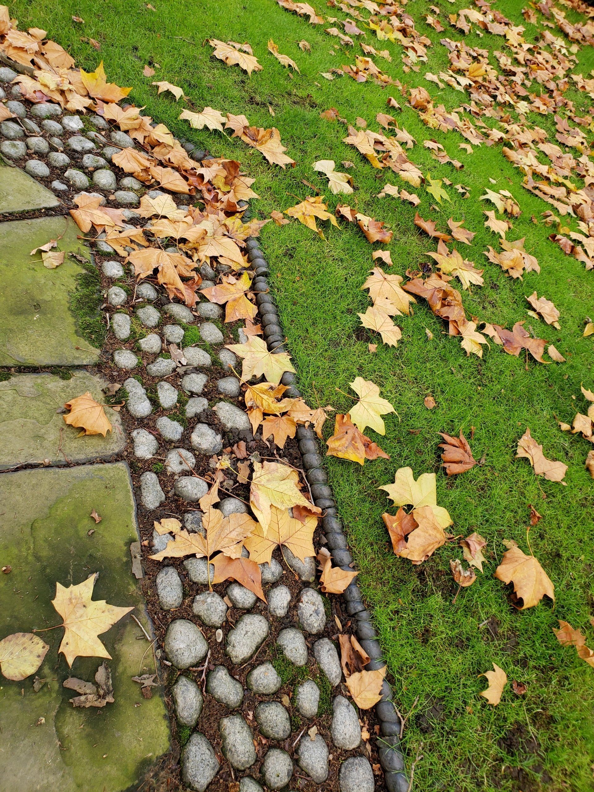 A stone walkway surrounded by leaves on the grass.