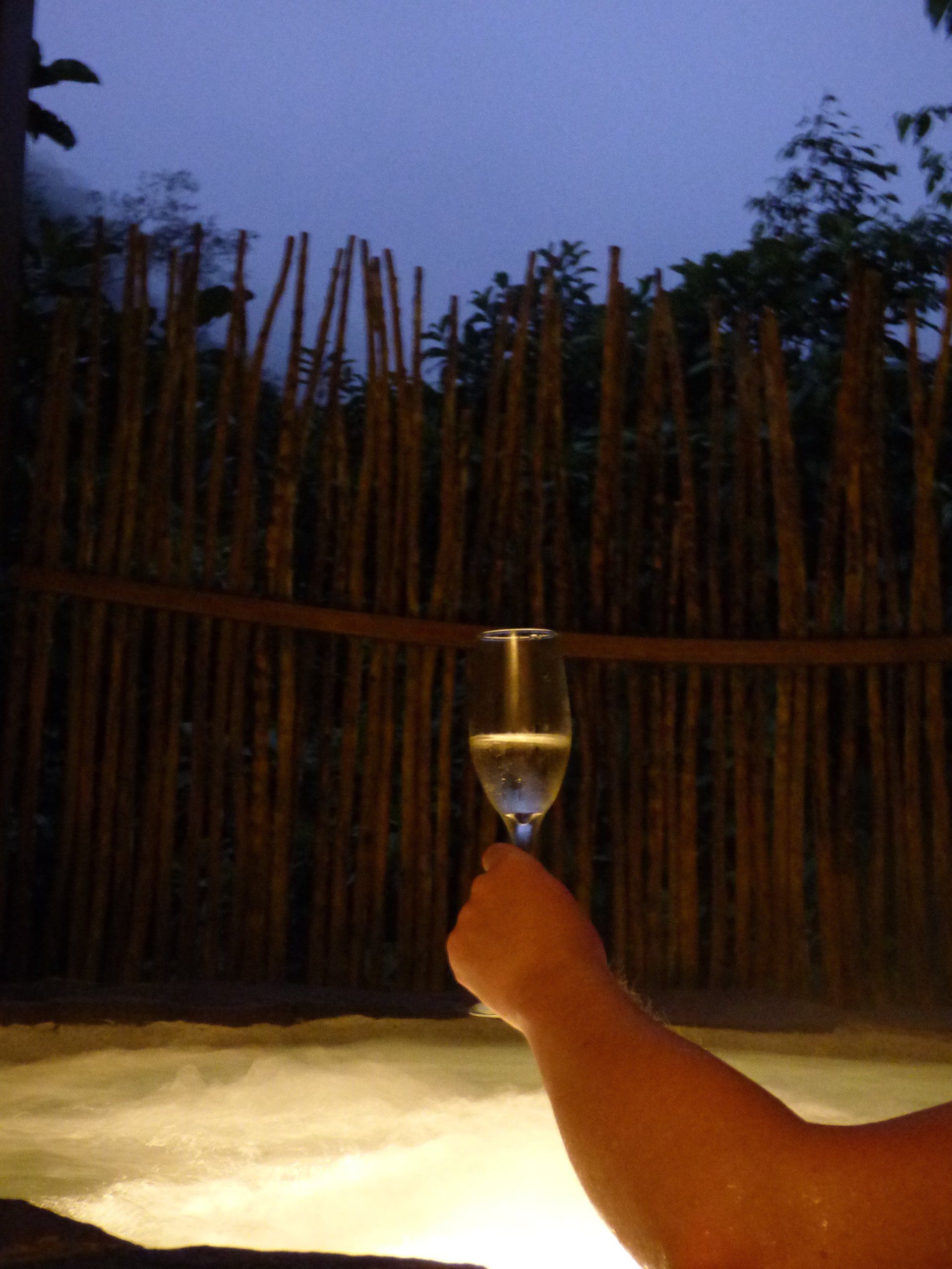 A person is holding a glass of wine in front of a wooden fence