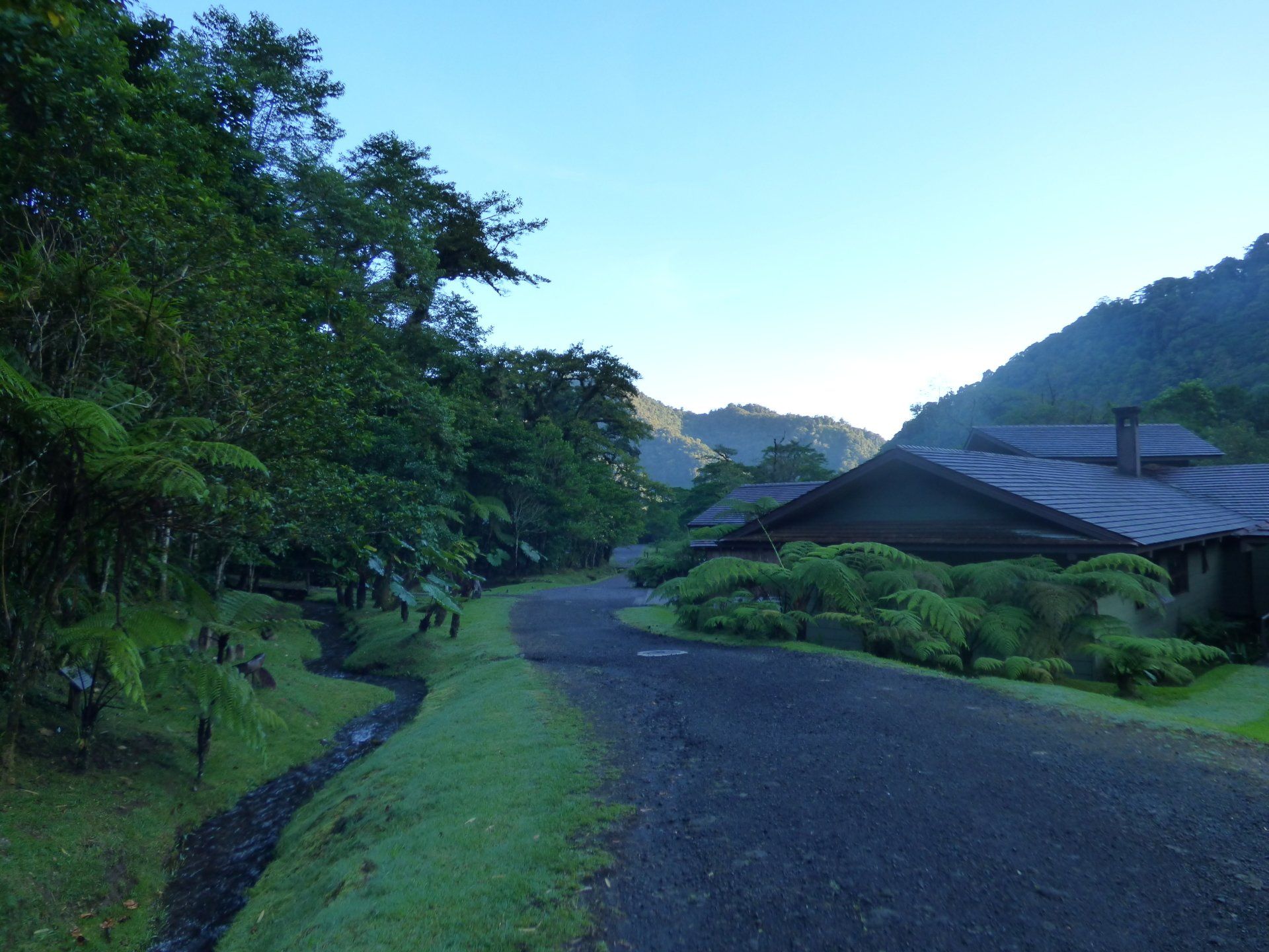 A road leading to a house in the woods