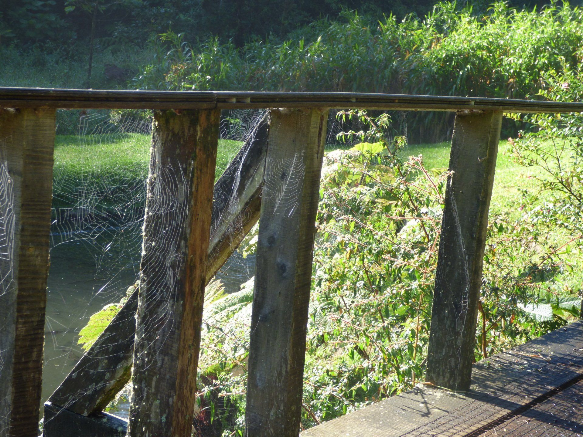 A wooden bridge over a river with trees in the background