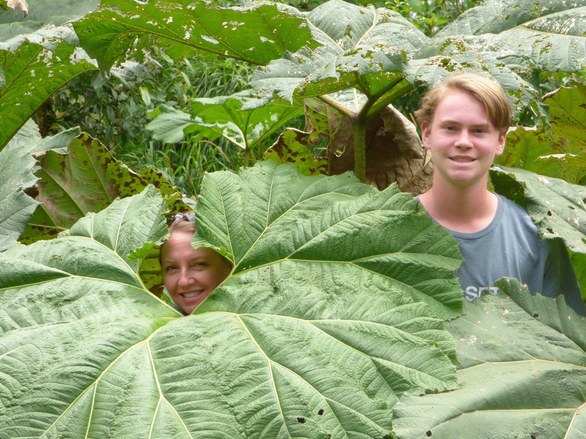 A man and a woman are hiding behind a large green leaf