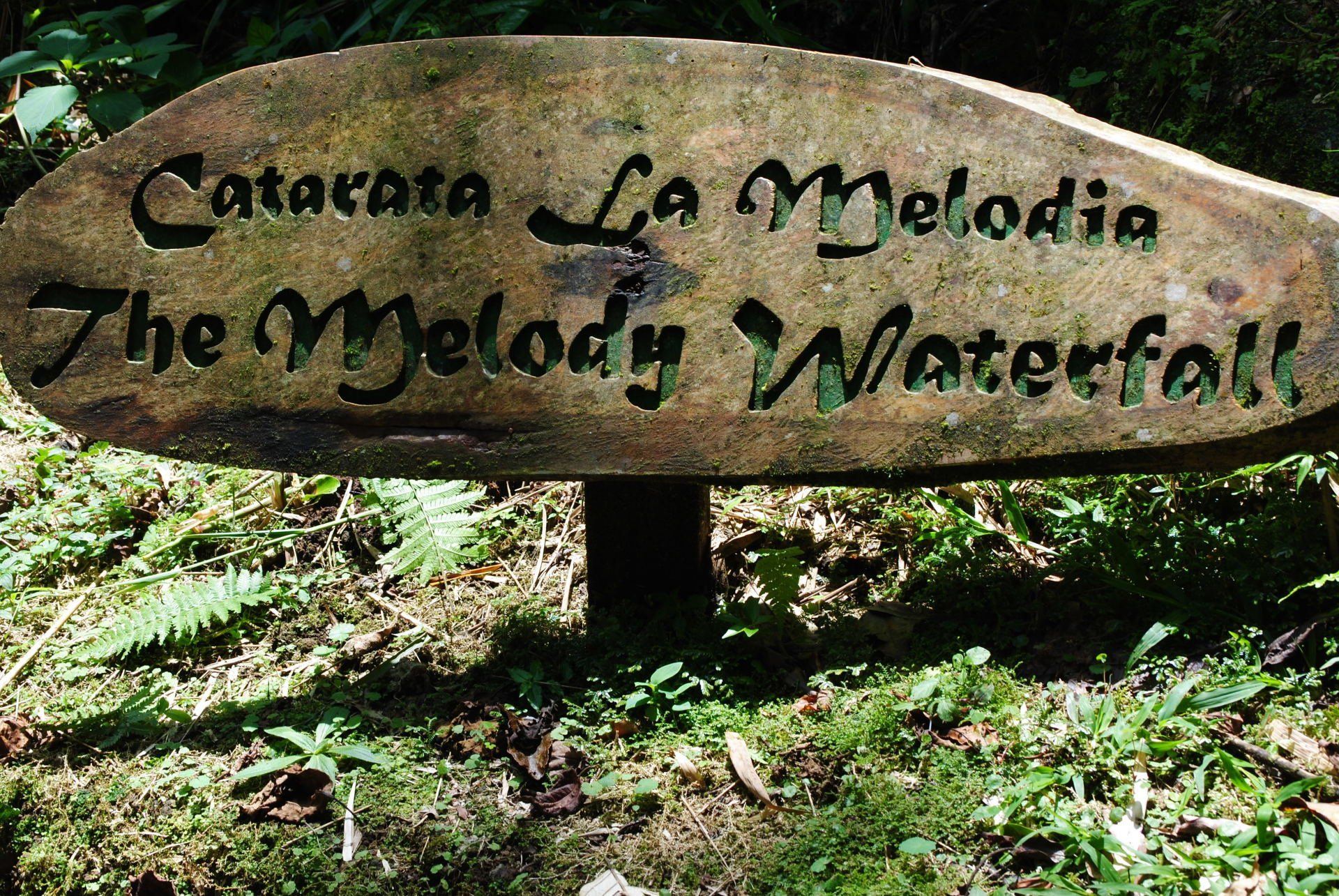 A sign that says catarata la melodia the melody waterfall