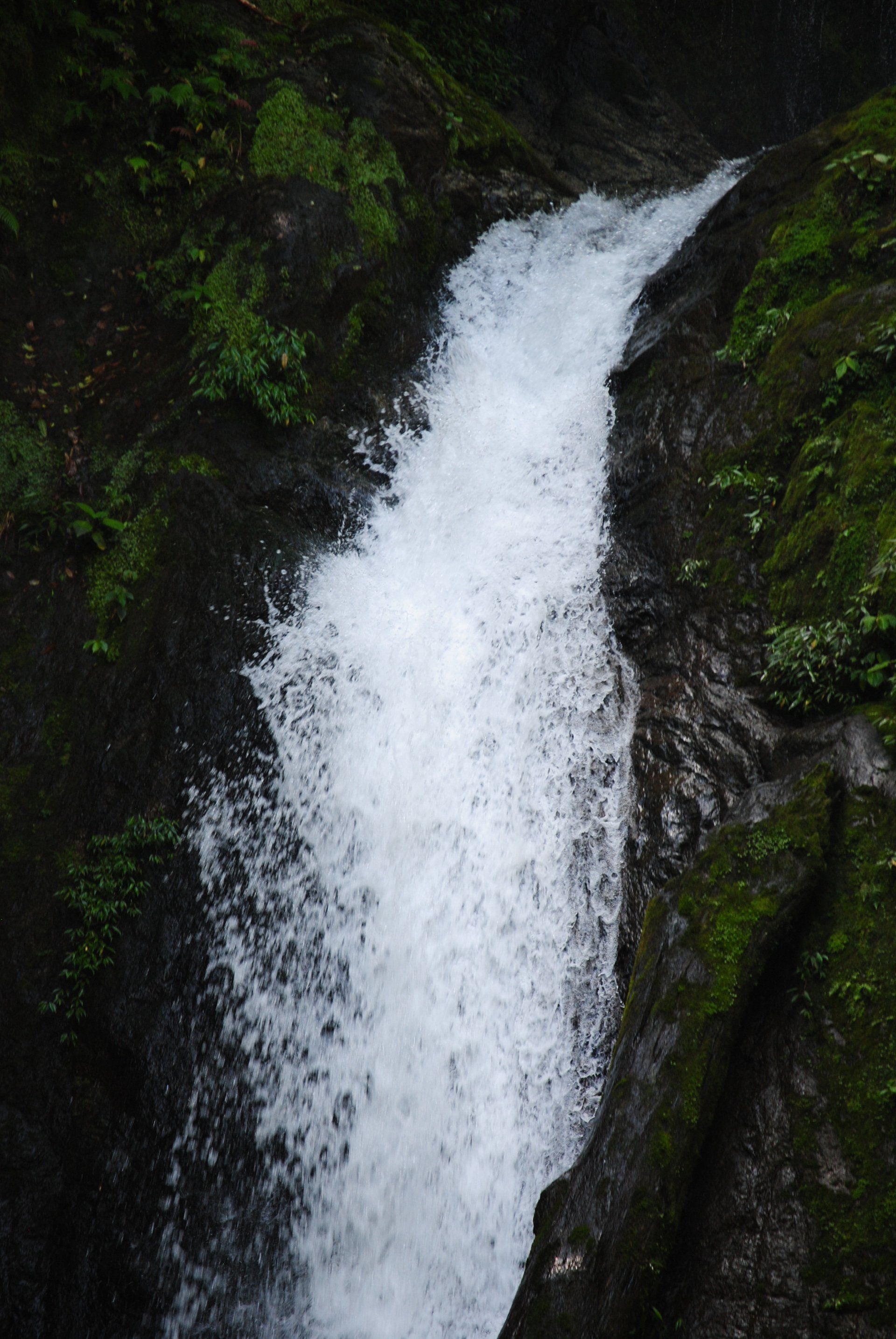 A waterfall is surrounded by moss and rocks in the woods.