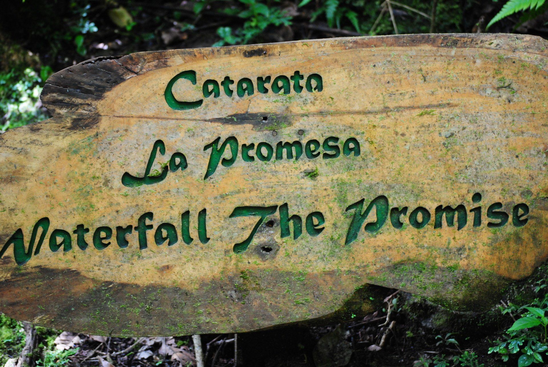 A sign that says catarata la promesa waterfall the promise
