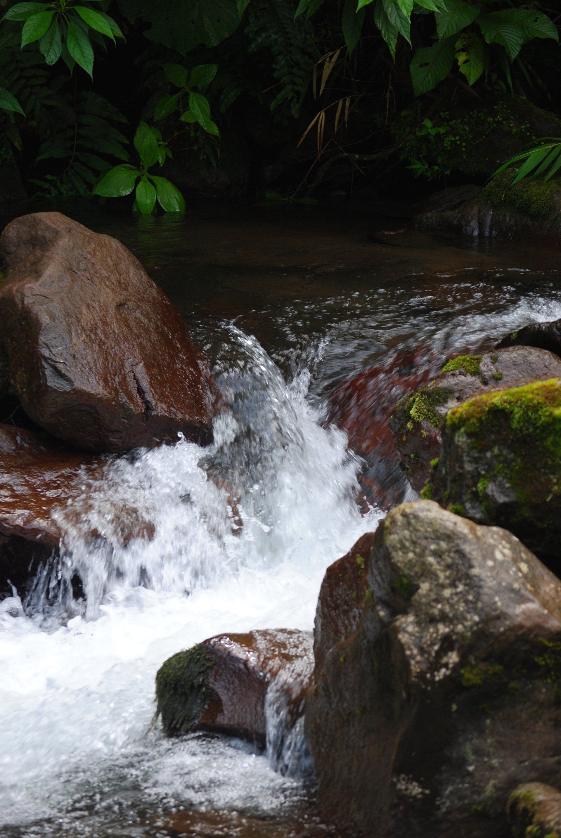 A small waterfall is surrounded by rocks in the woods.